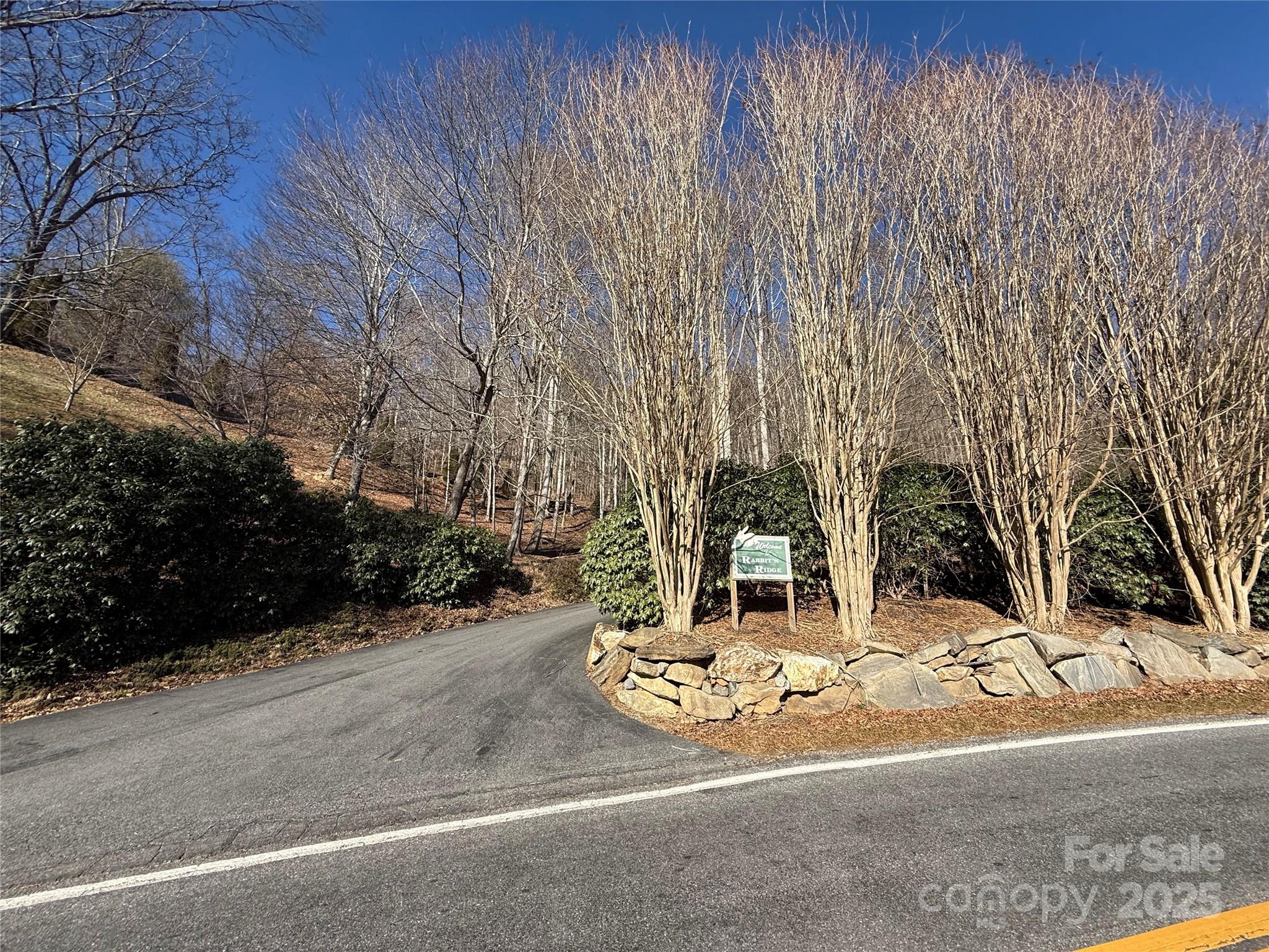 Lot 23 Thumper Trail Waynesville NC 28785