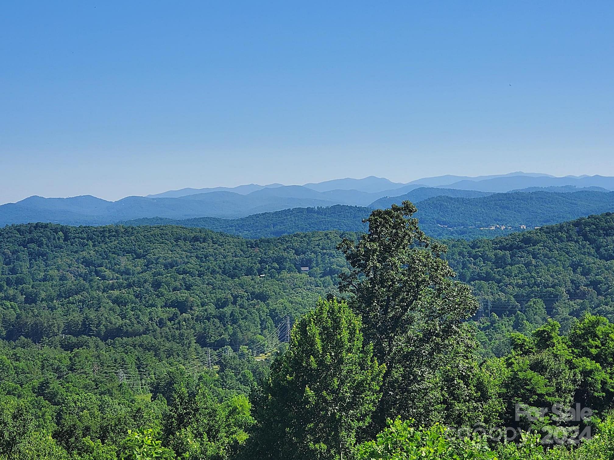 101 Wood Owl Court Hendersonville NC 28791