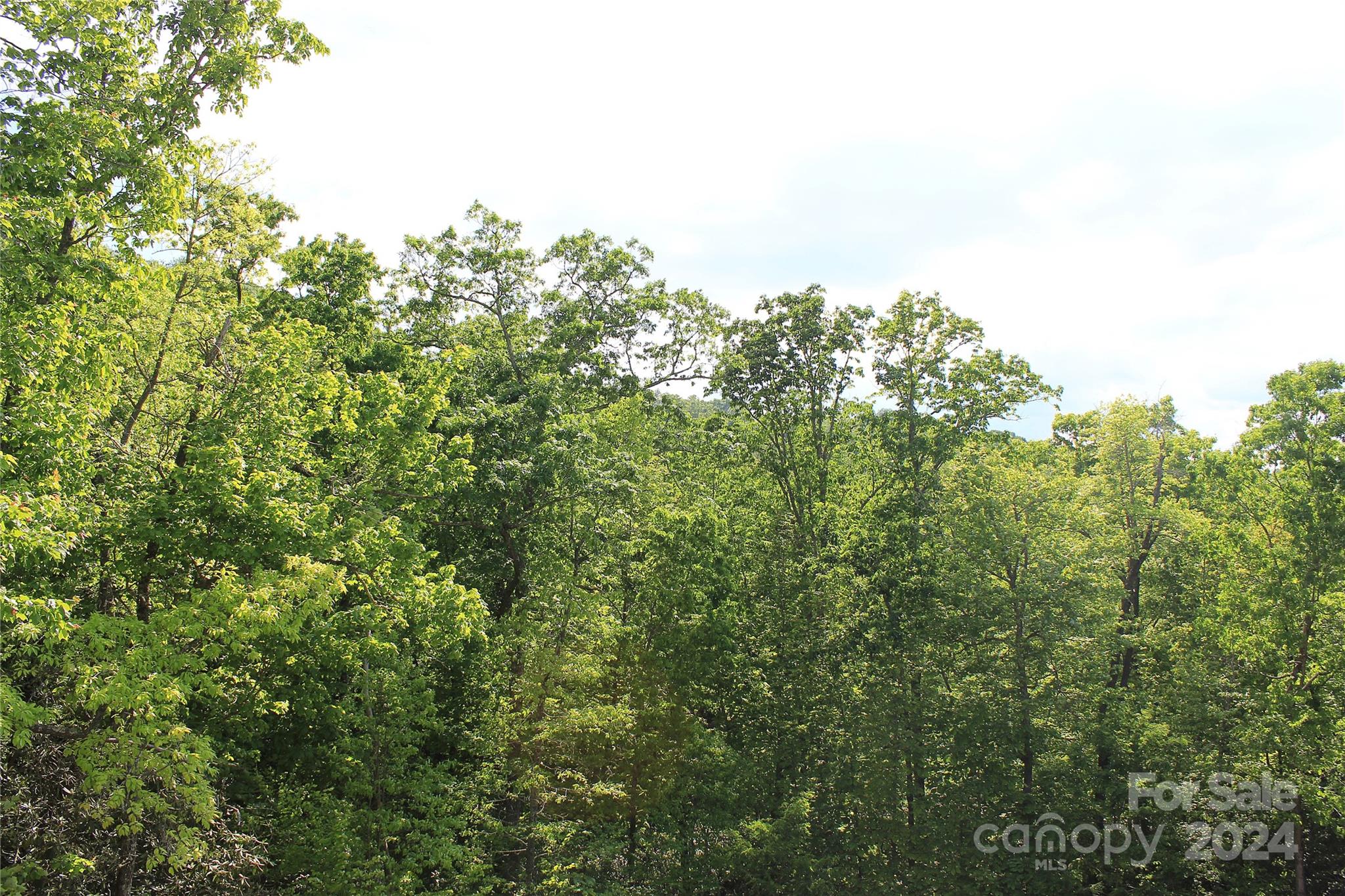 101 Wood Owl Court Hendersonville NC 28791