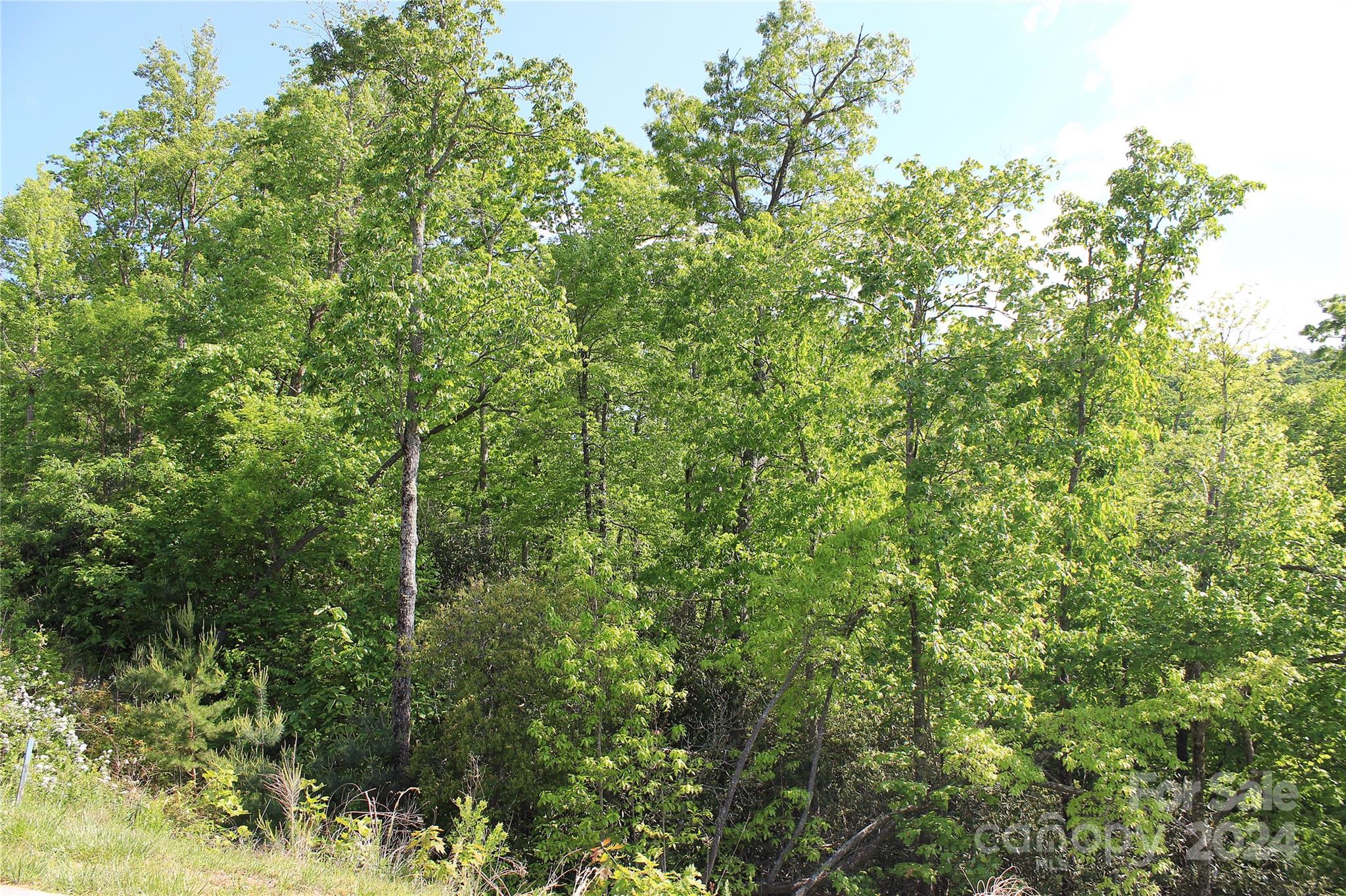 101 Wood Owl Court Hendersonville NC 28791