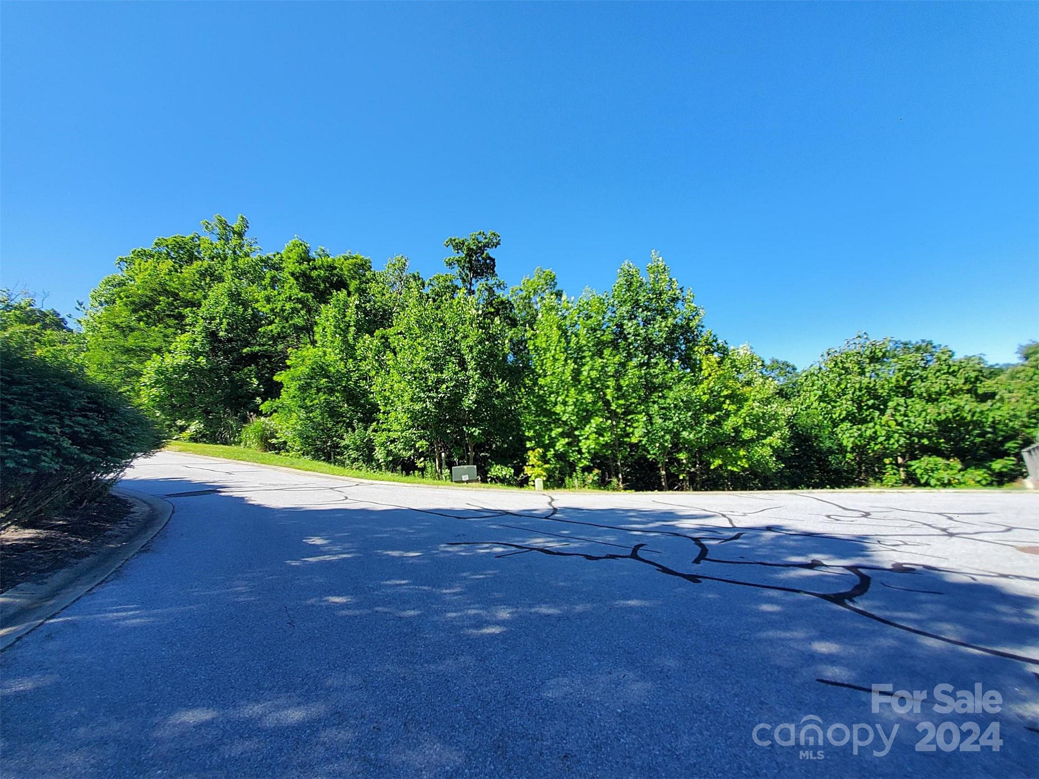 101 Wood Owl Court Hendersonville NC 28791