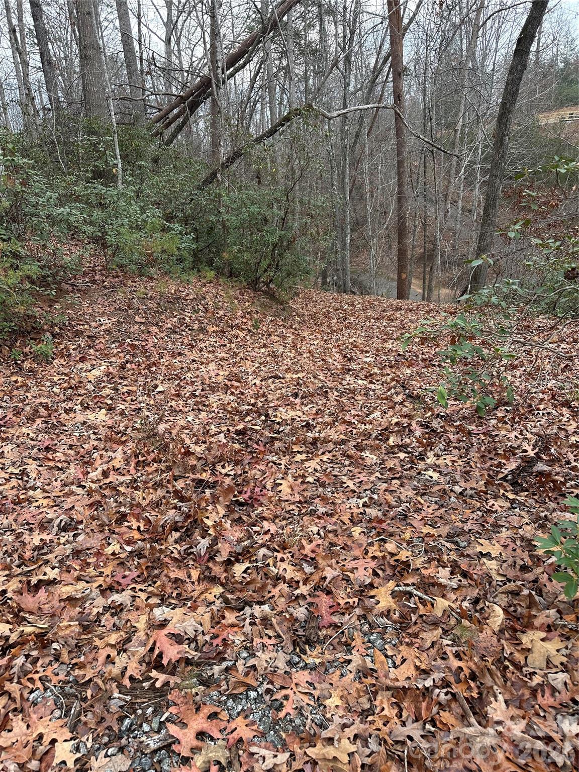 00 Jackson Cove Road W Mill Spring NC 28756