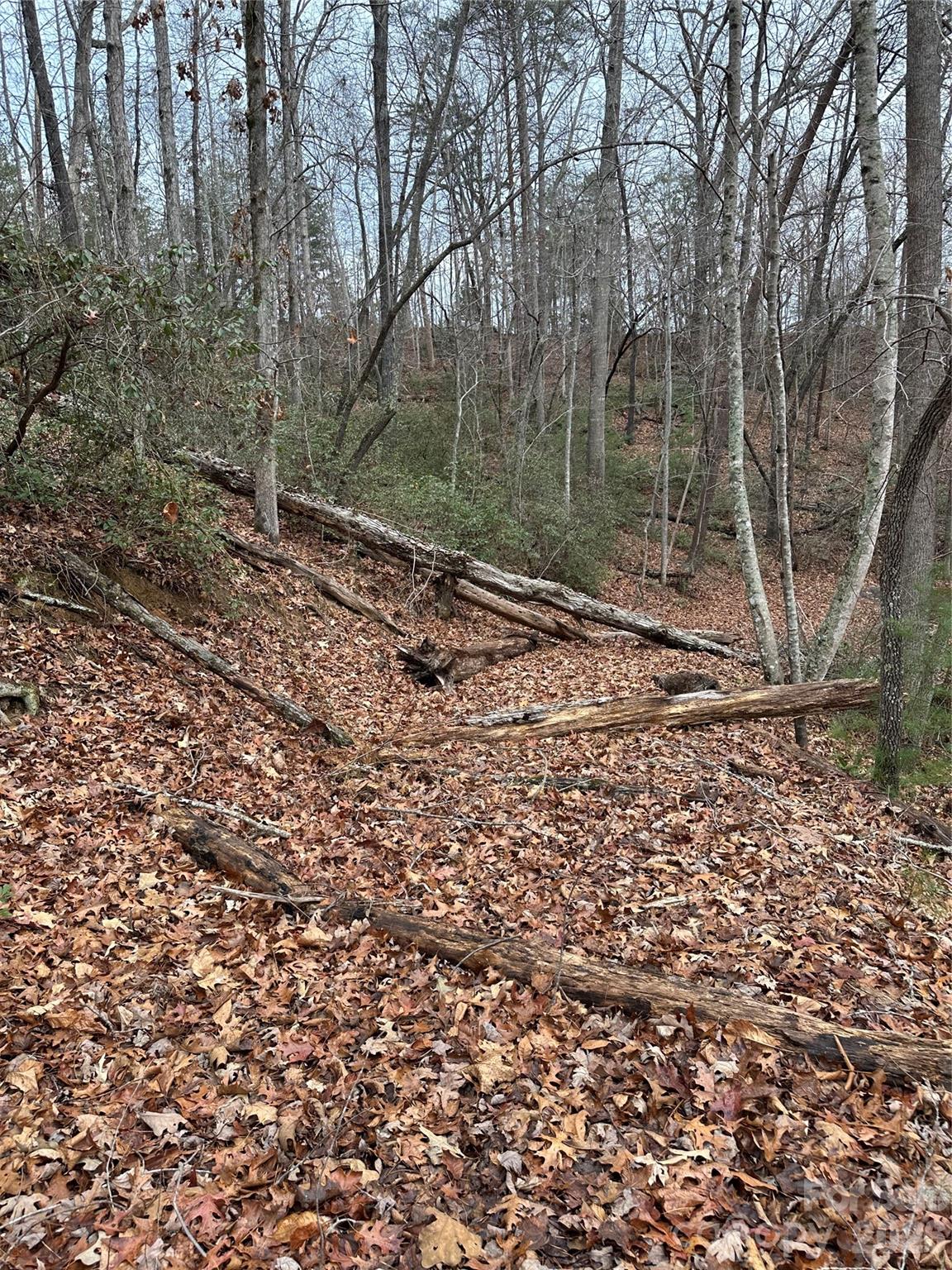 00 Jackson Cove Road W Mill Spring NC 28756