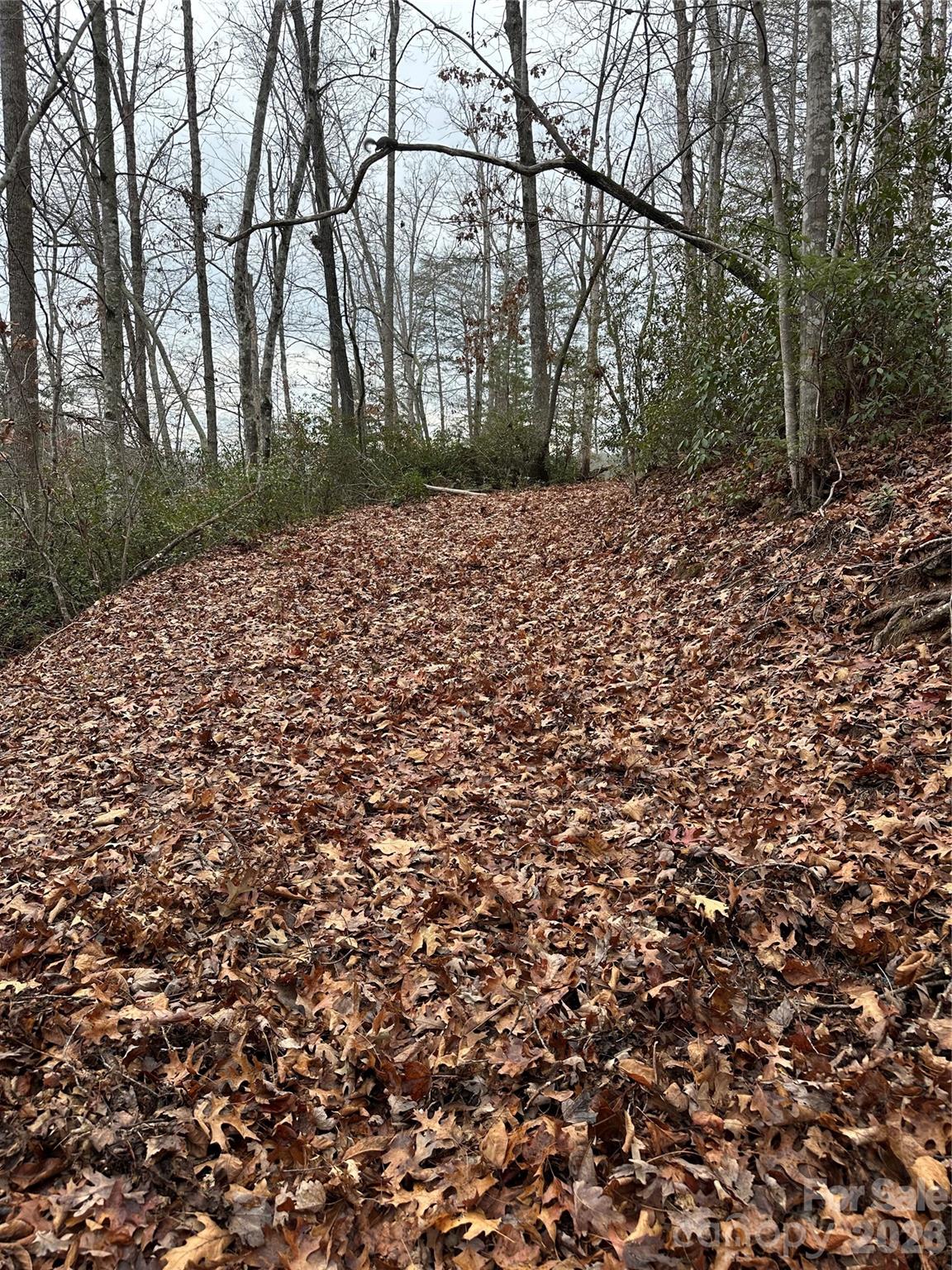00 Jackson Cove Road W Mill Spring NC 28756