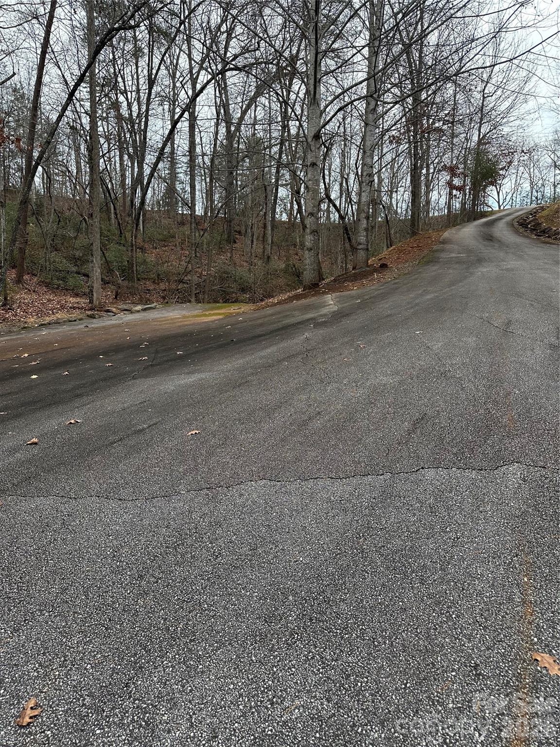 00 Jackson Cove Road W Mill Spring NC 28756