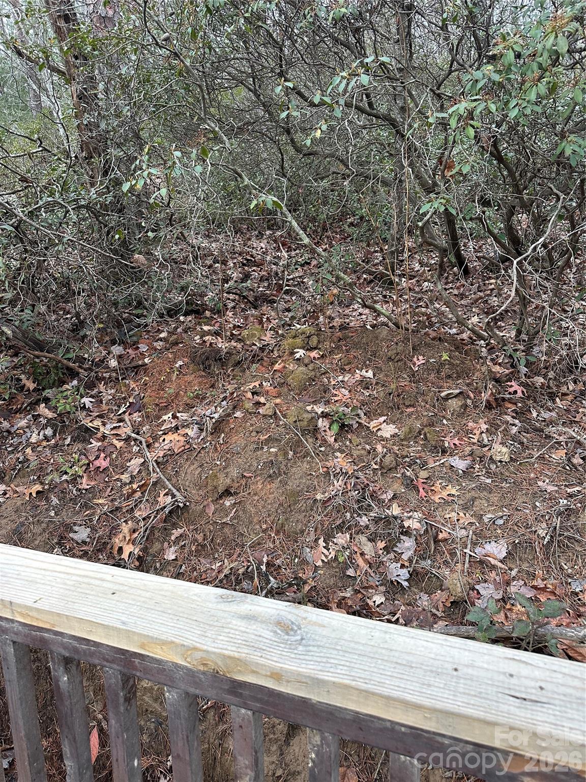 00 Jackson Cove Road W Mill Spring NC 28756