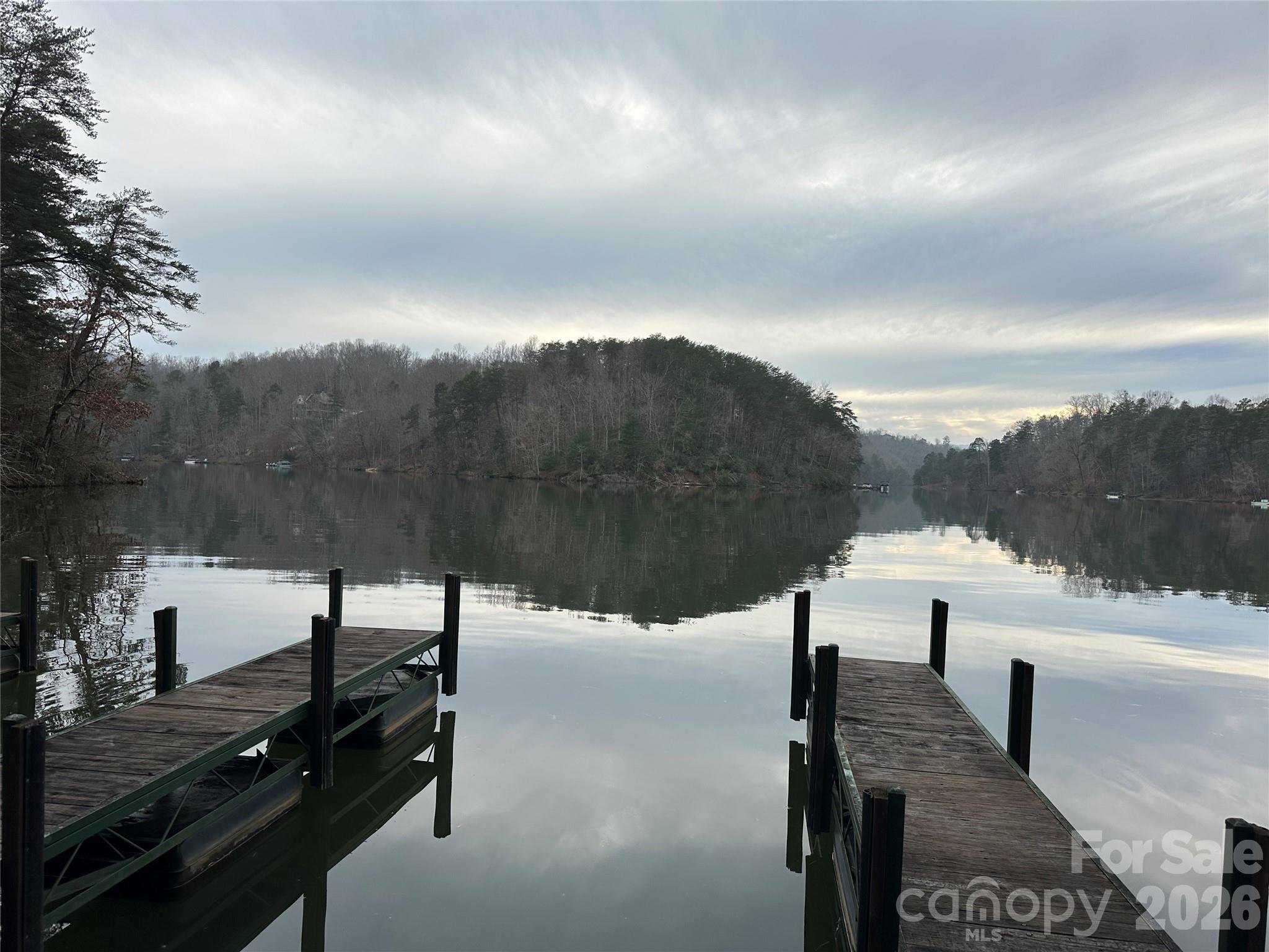 00 Jackson Cove Road W Mill Spring NC 28756