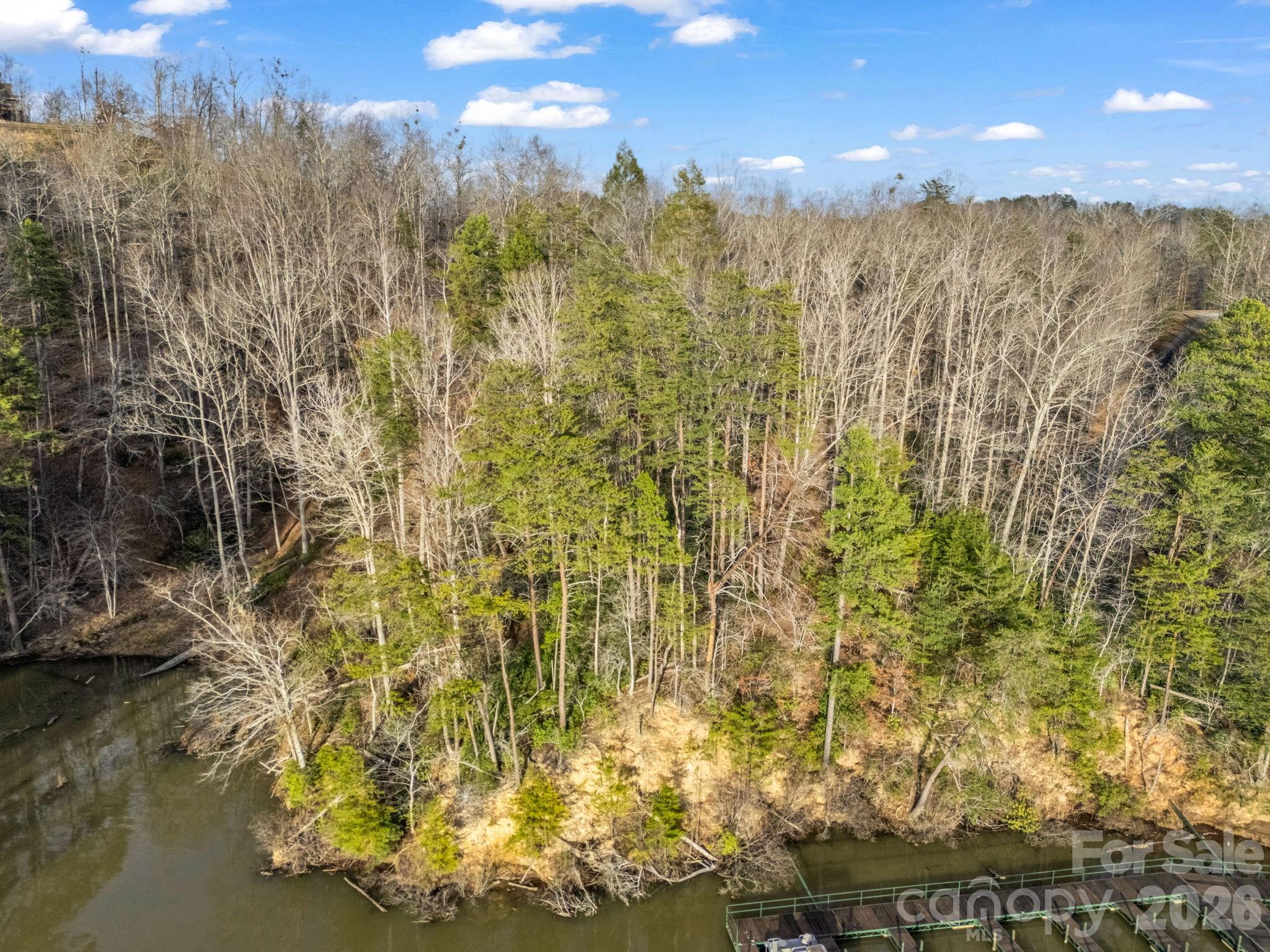 00 Jackson Cove Road W Mill Spring NC 28756