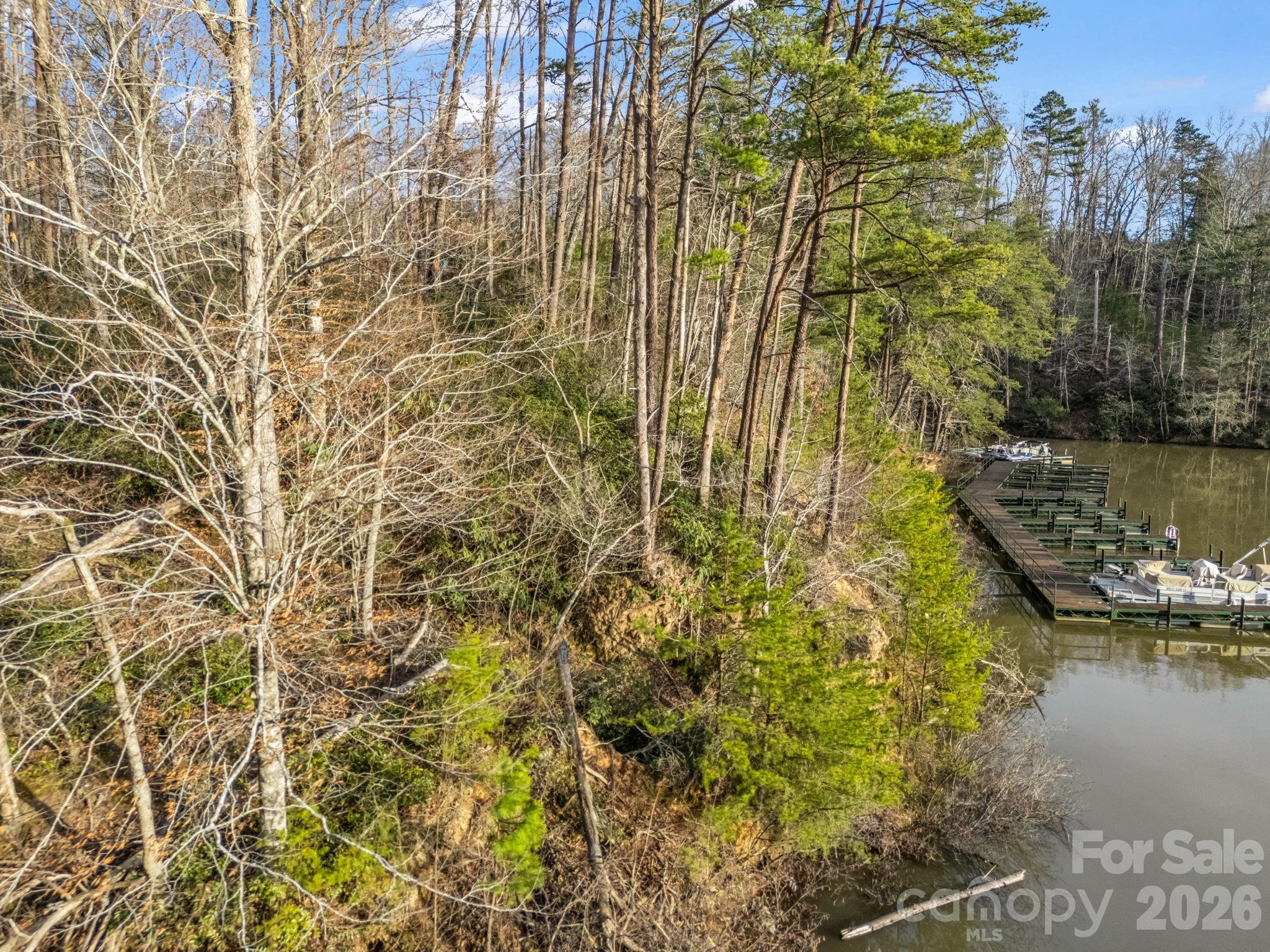 00 Jackson Cove Road W Mill Spring NC 28756