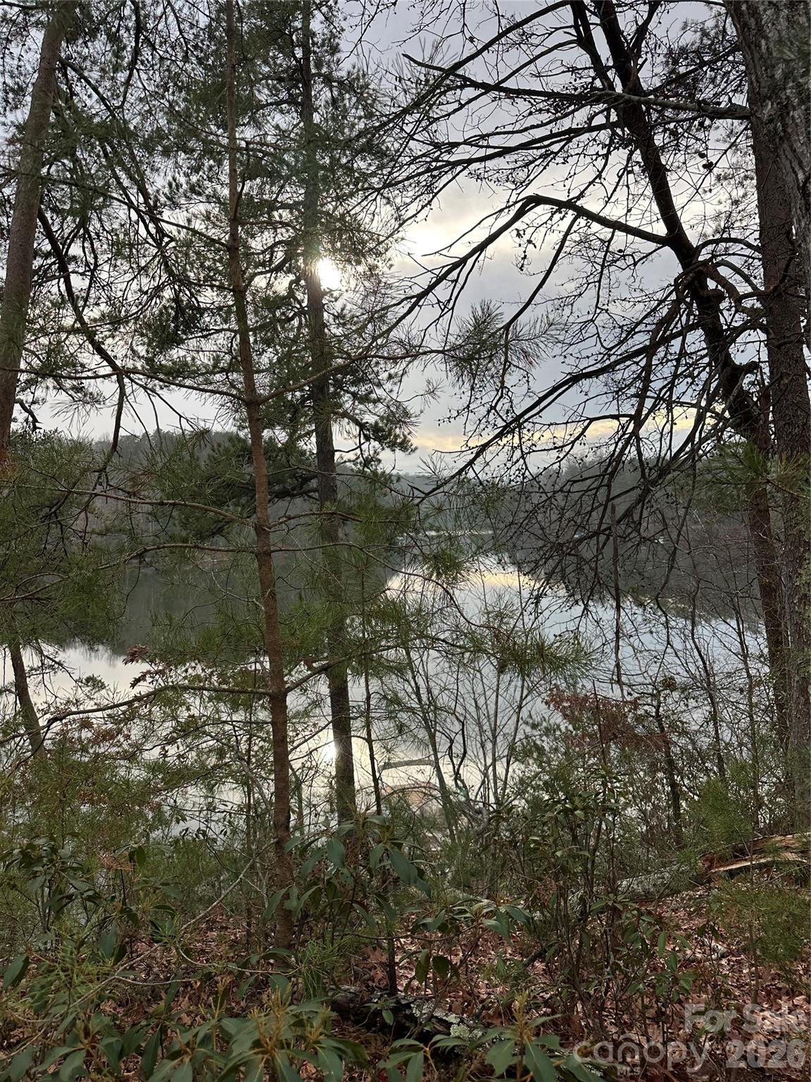 00 Jackson Cove Road W Mill Spring NC 28756