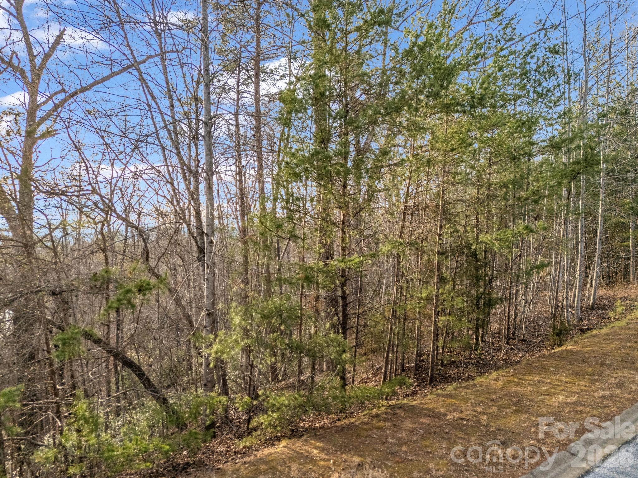 00 Jackson Cove Road W Mill Spring NC 28756