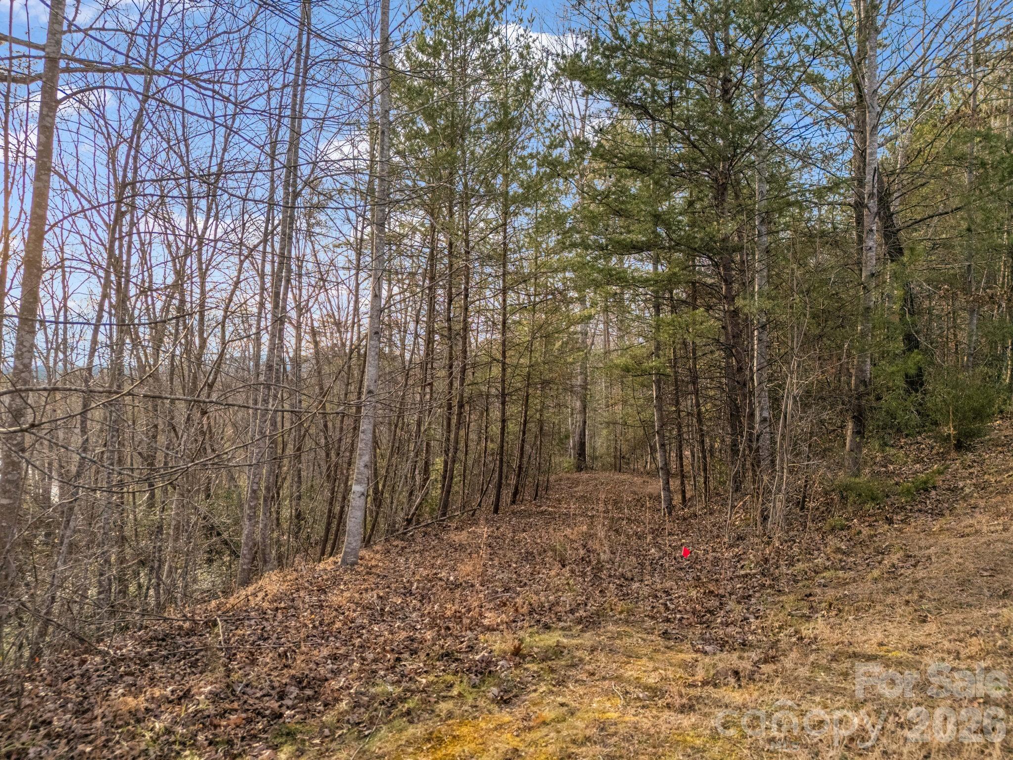 00 Jackson Cove Road W Mill Spring NC 28756