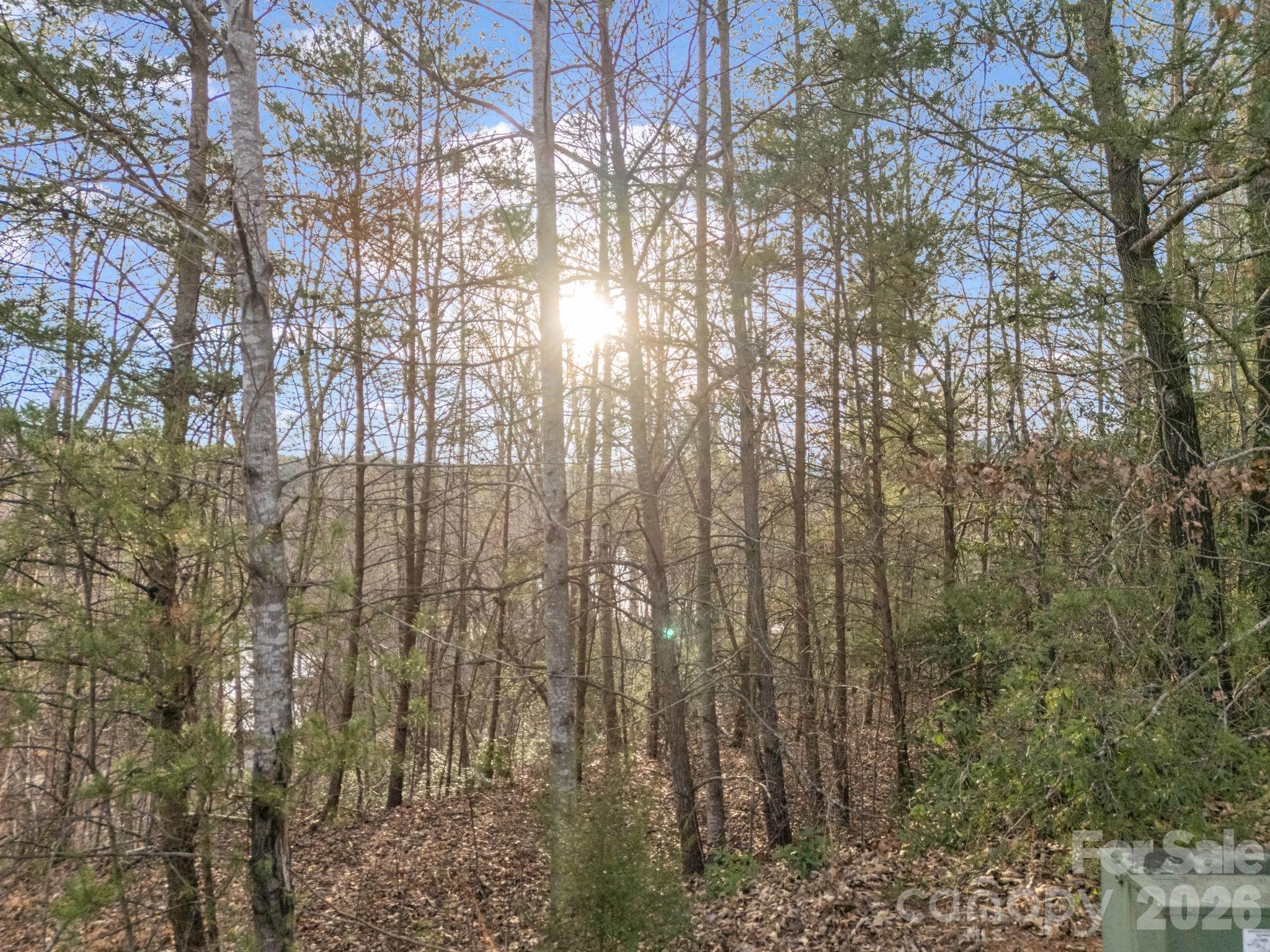 00 Jackson Cove Road W Mill Spring NC 28756