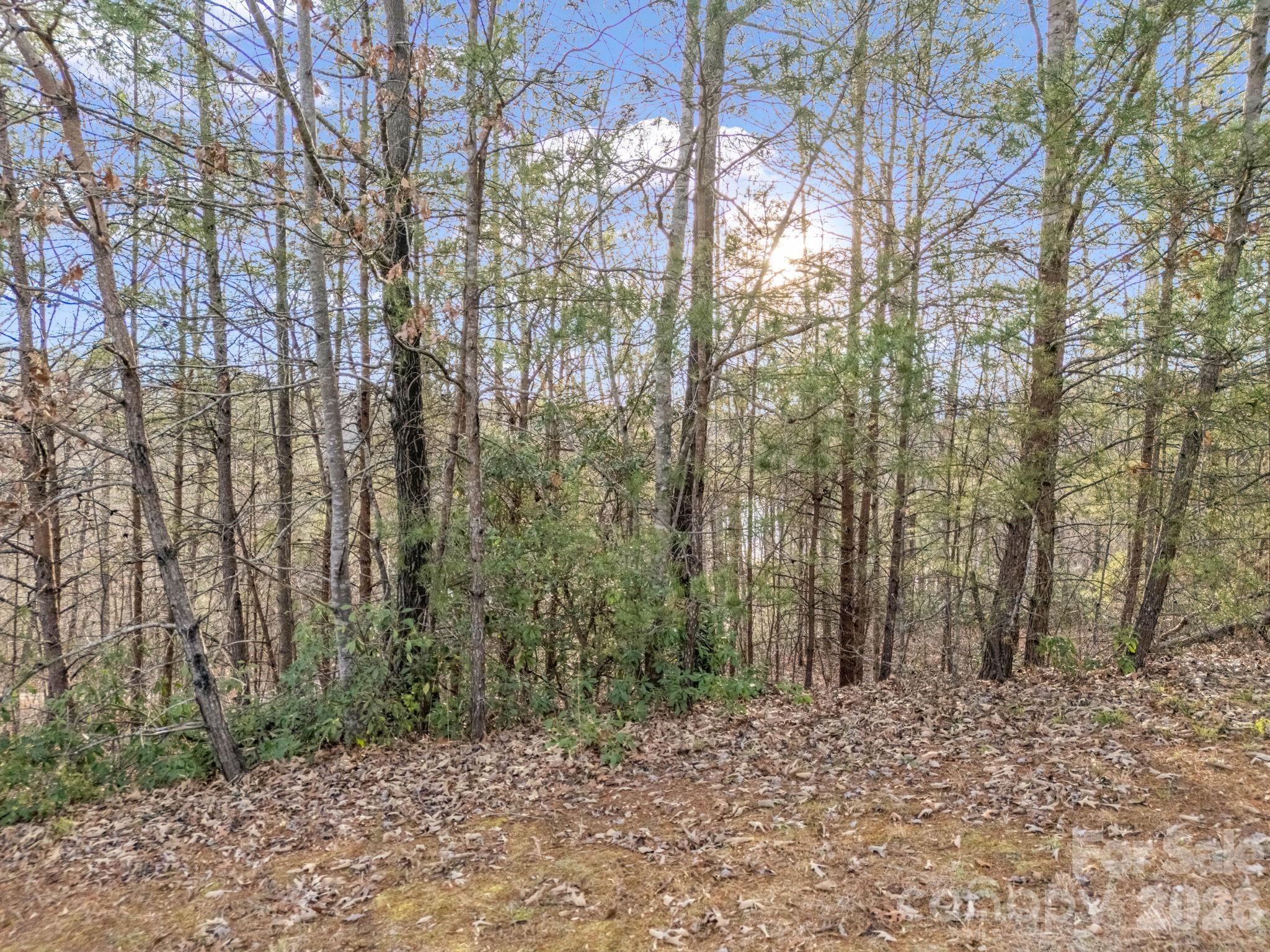 00 Jackson Cove Road W Mill Spring NC 28756