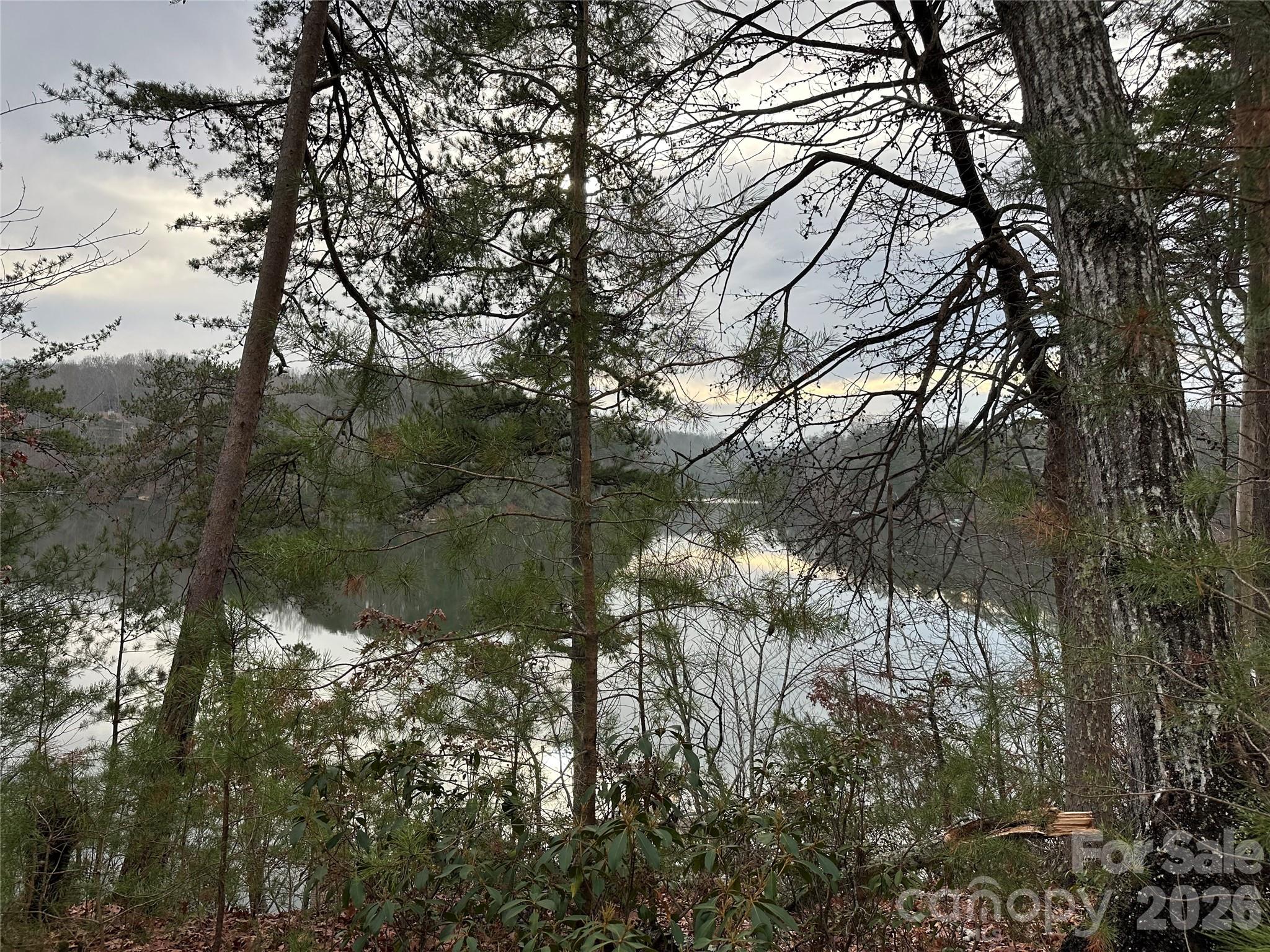 00 Jackson Cove Road W Mill Spring NC 28756