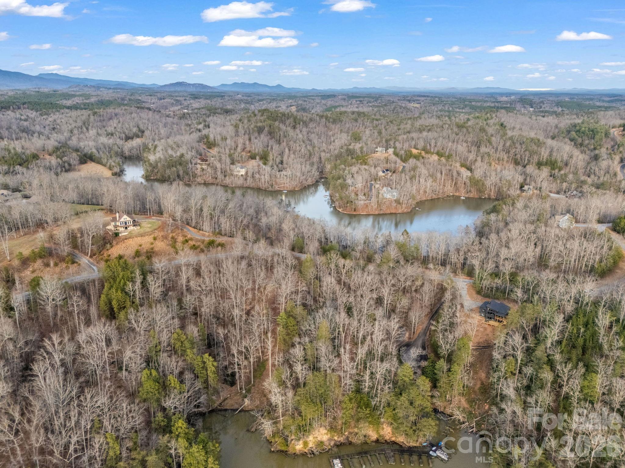 00 Jackson Cove Road W Mill Spring NC 28756