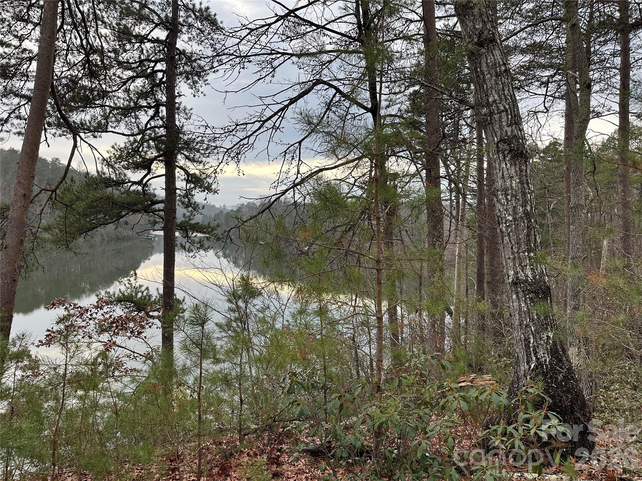 00 Jackson Cove Road W Mill Spring NC 28756