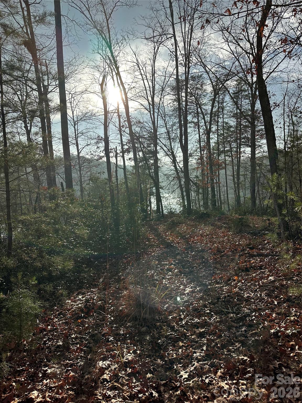 00 Jackson Cove Road W Mill Spring NC 28756