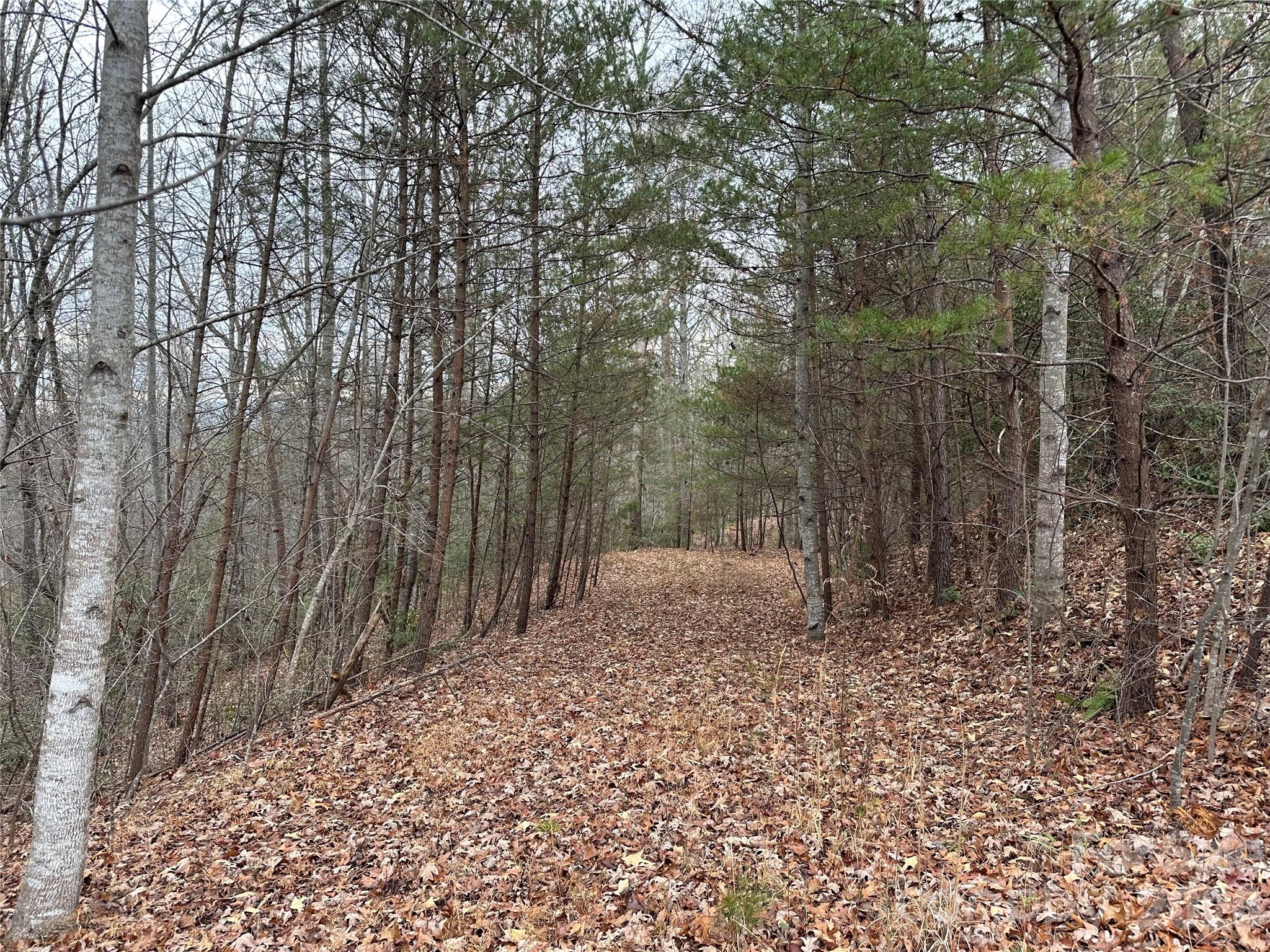 00 Jackson Cove Road W Mill Spring NC 28756
