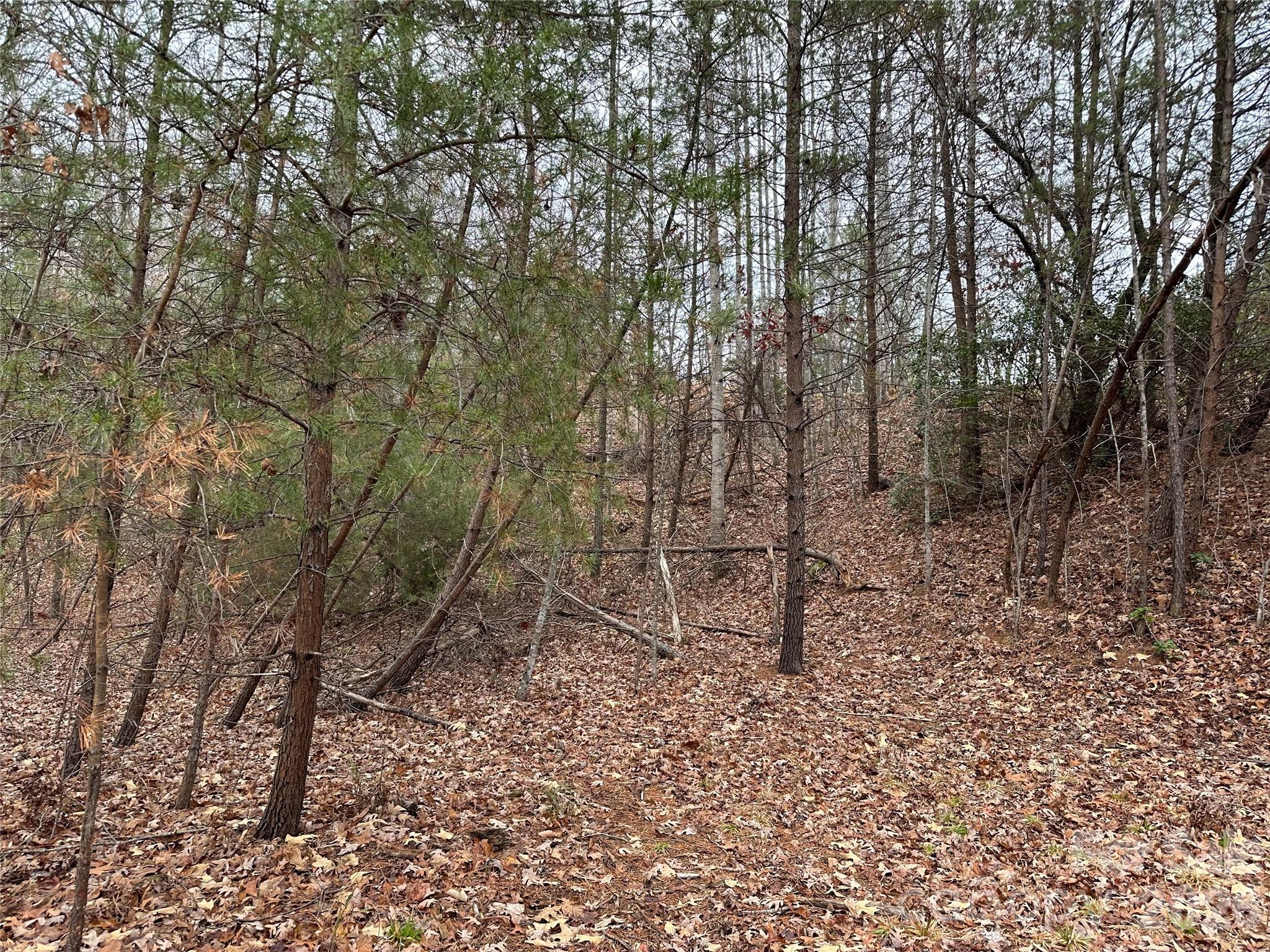 00 Jackson Cove Road W Mill Spring NC 28756