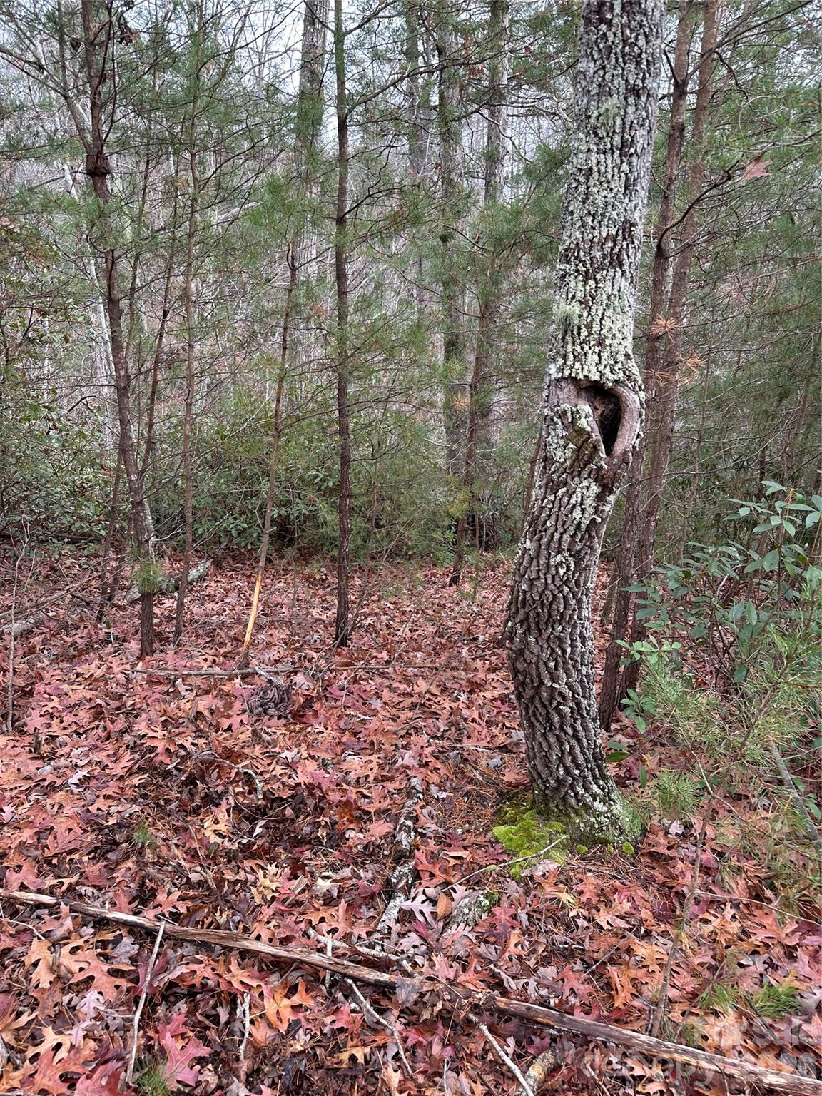 00 Jackson Cove Road W Mill Spring NC 28756