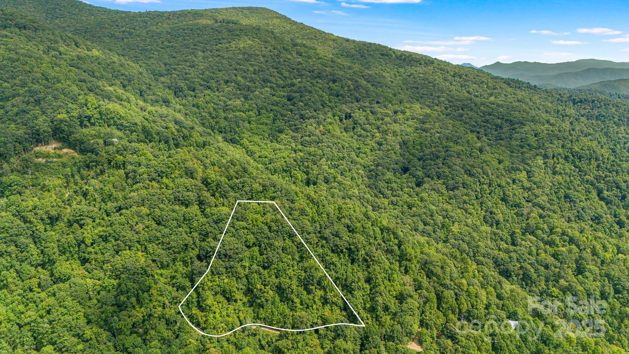 Lot 21 Cat Pen Branch Road Hot Springs NC 28743