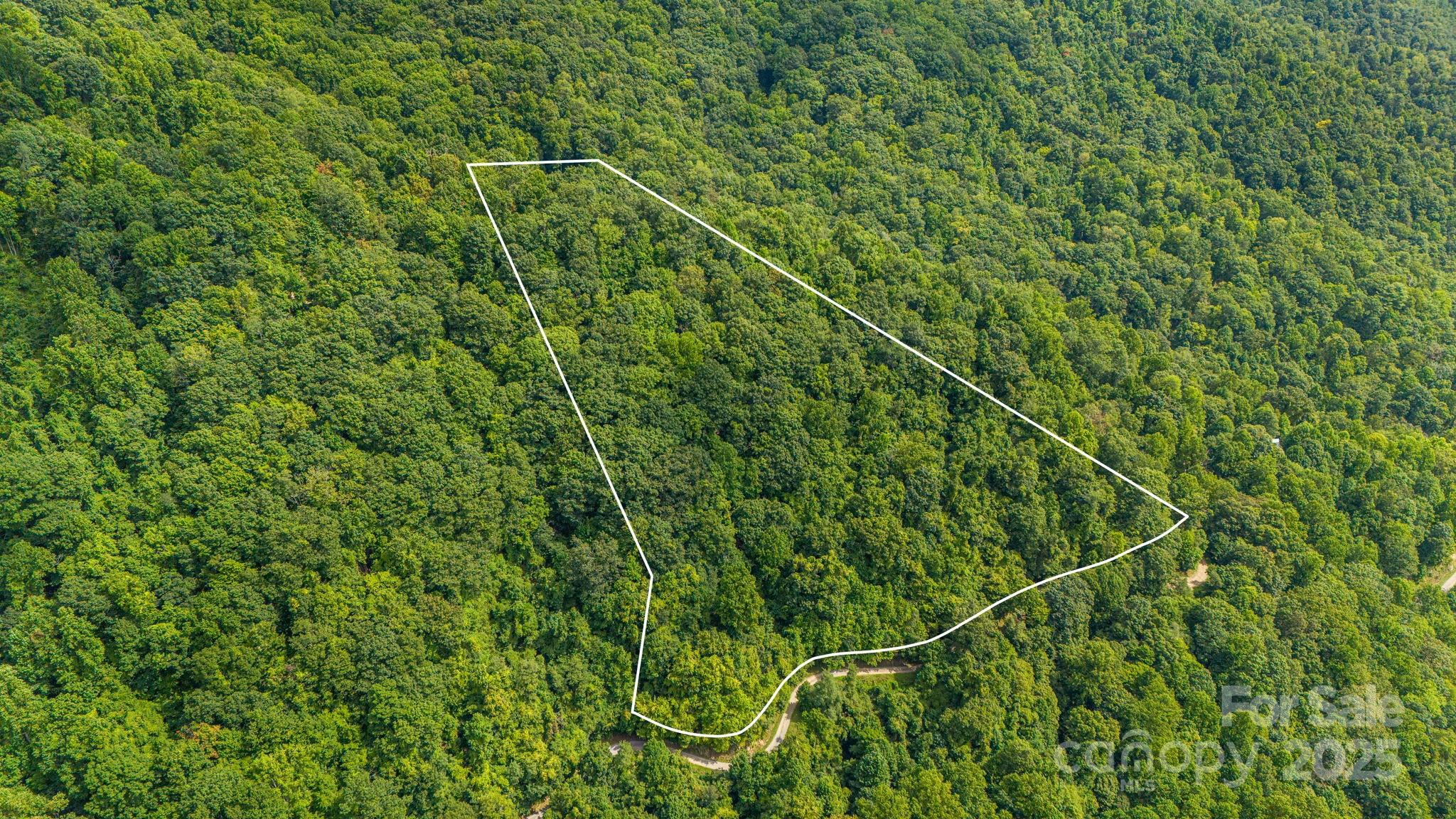 Lot 21 Cat Pen Branch Road Hot Springs NC 28743