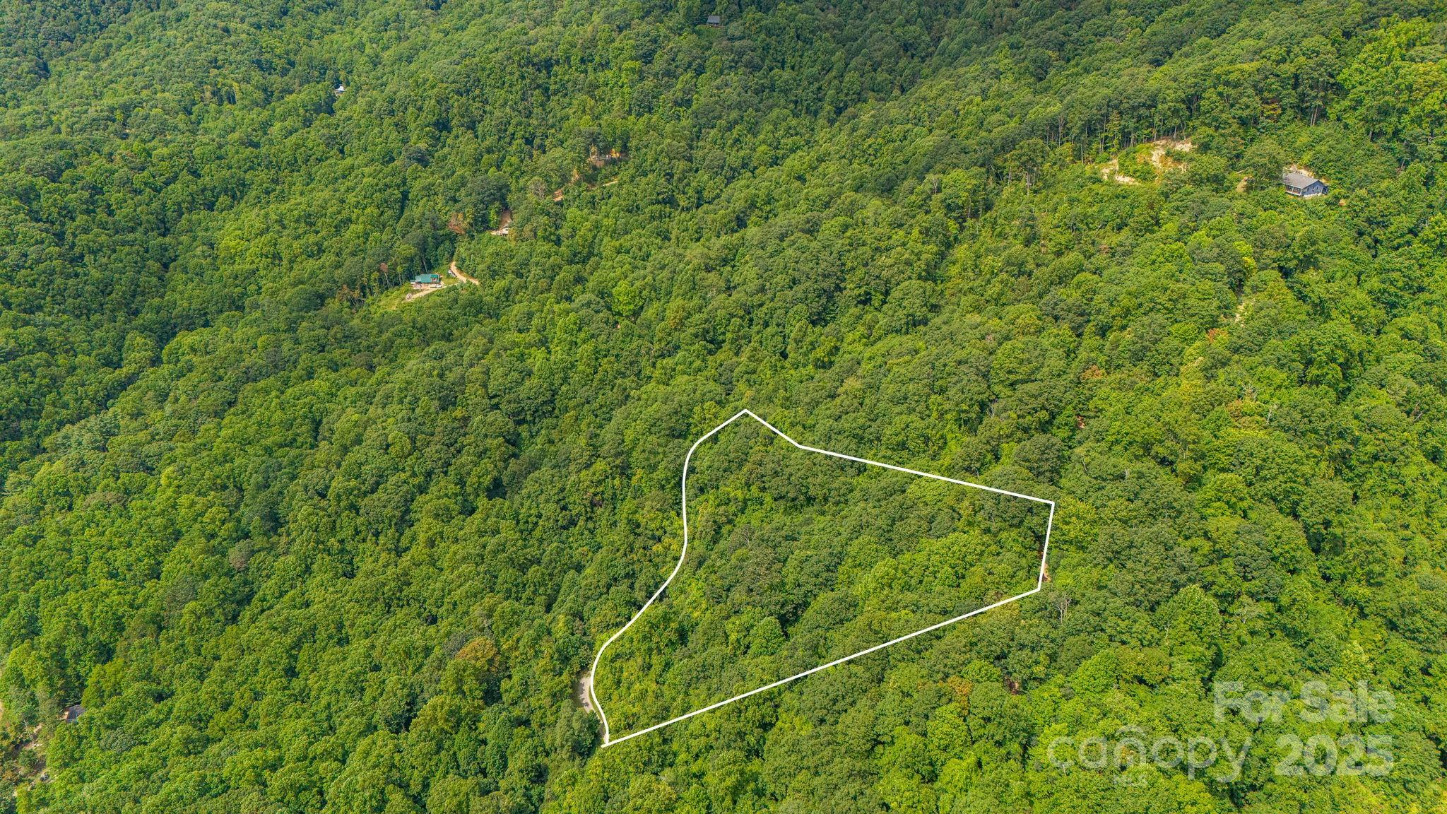 Lot 21 Cat Pen Branch Road Hot Springs NC 28743