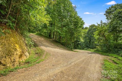 Lot 21 Cat Pen Branch Road Hot Springs NC 28743