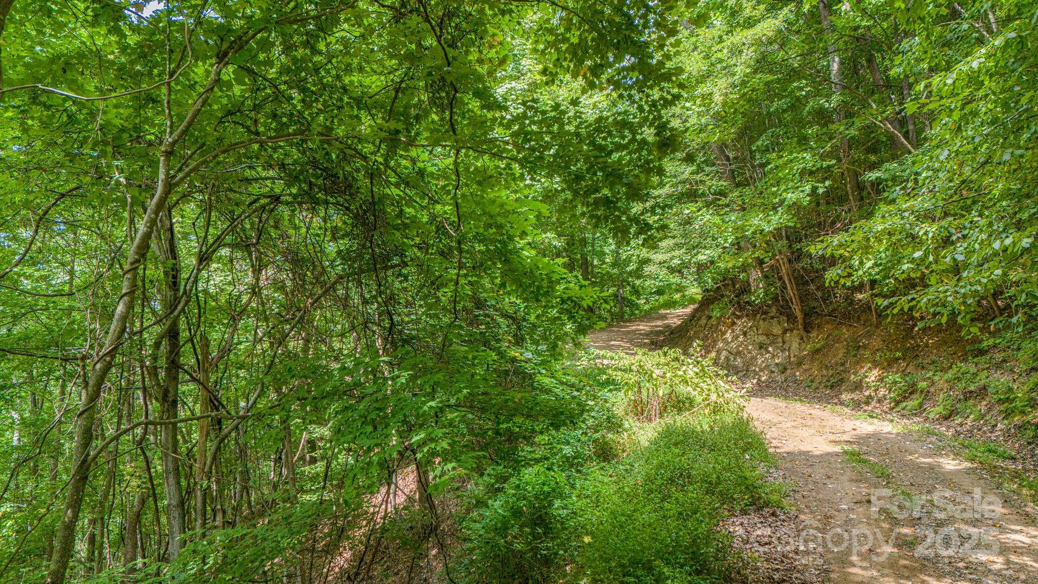 Lot 21 Cat Pen Branch Road Hot Springs NC 28743