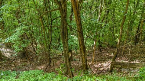 Lot 21 Cat Pen Branch Road Hot Springs NC 28743