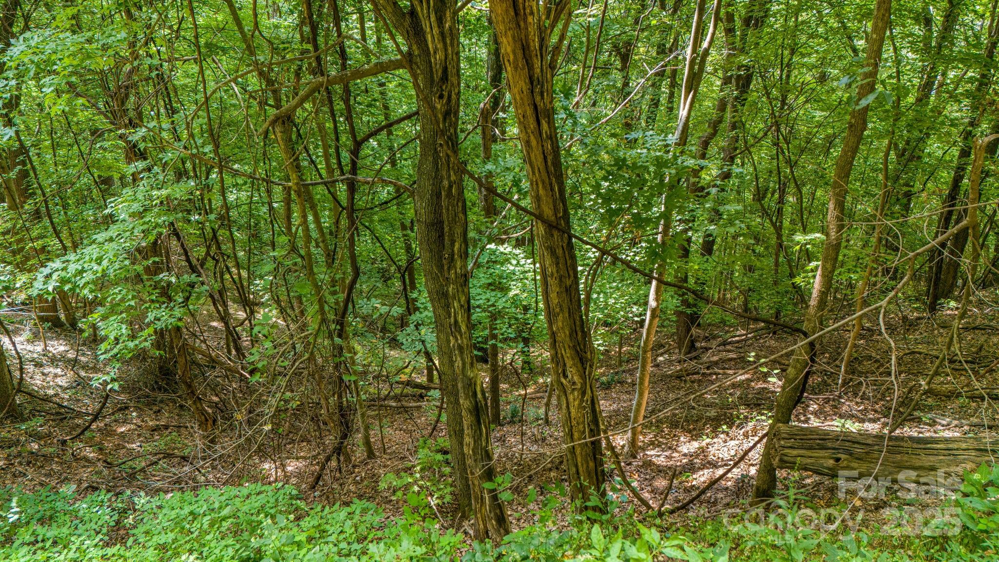 Lot 21 Cat Pen Branch Road Hot Springs NC 28743