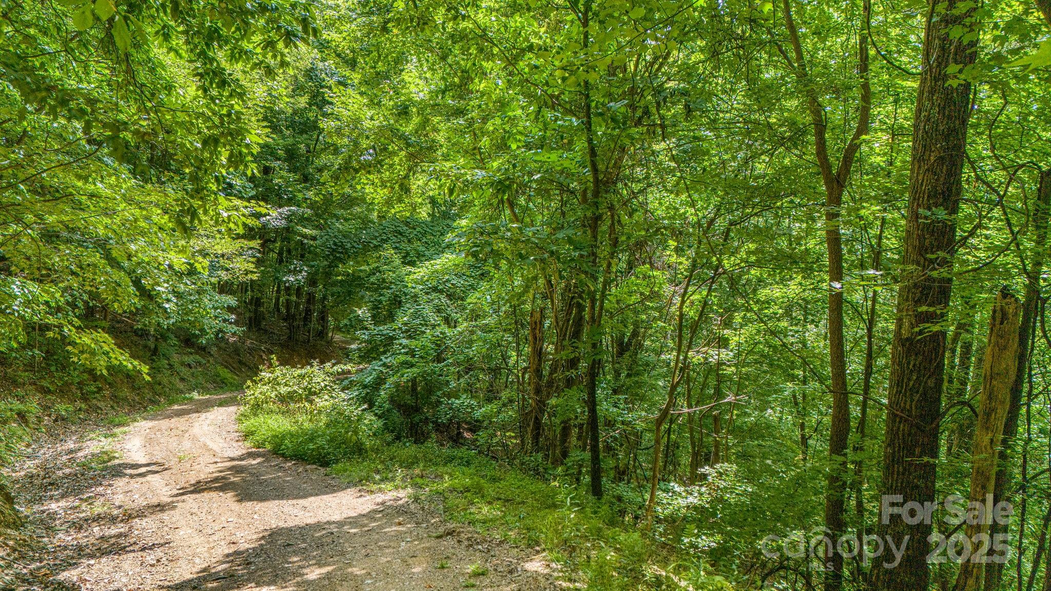 Lot 21 Cat Pen Branch Road Hot Springs NC 28743