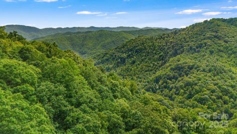 Lot 21 Cat Pen Branch Road Hot Springs NC 28743