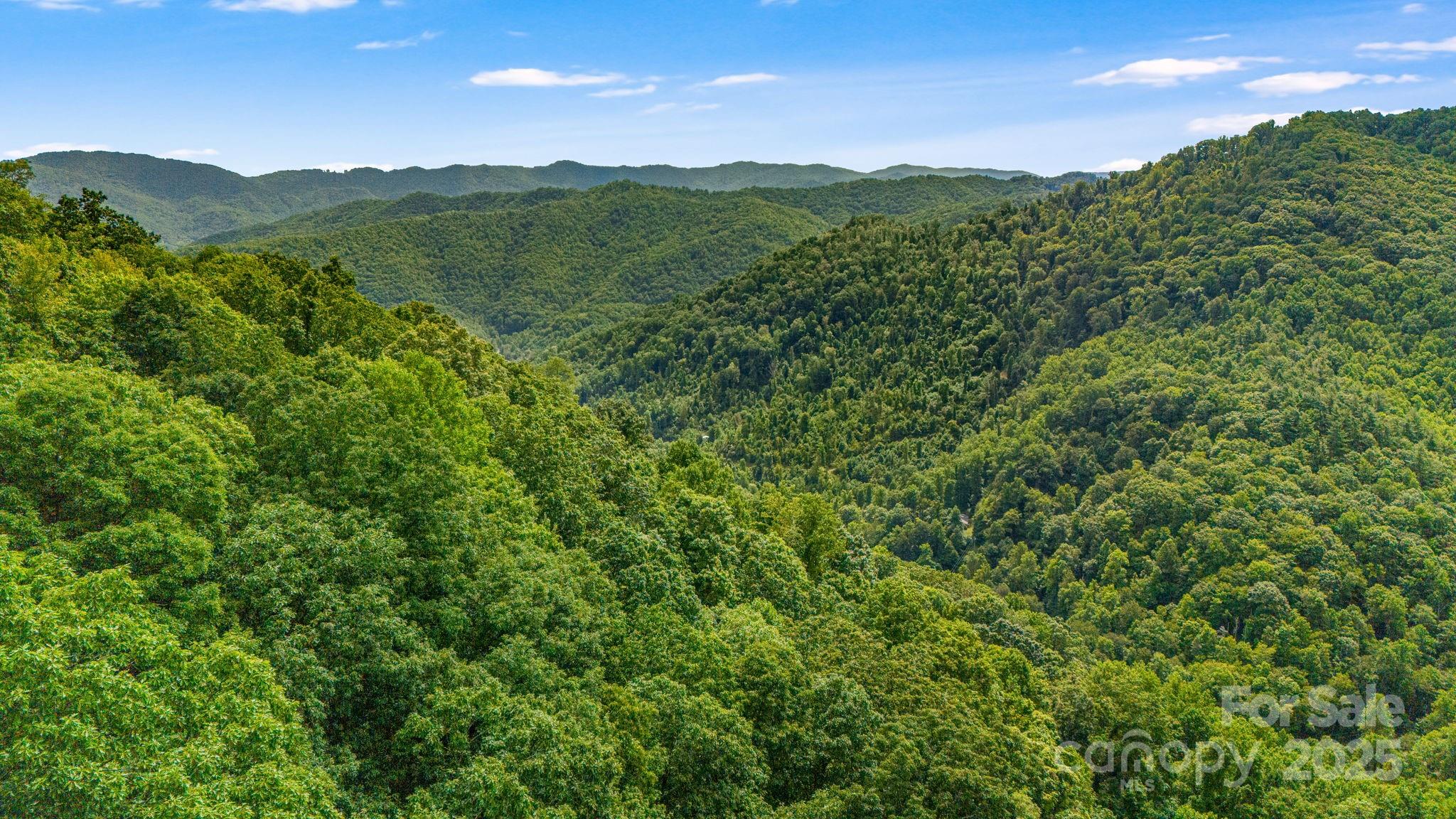 Lot 21 Cat Pen Branch Road Hot Springs NC 28743