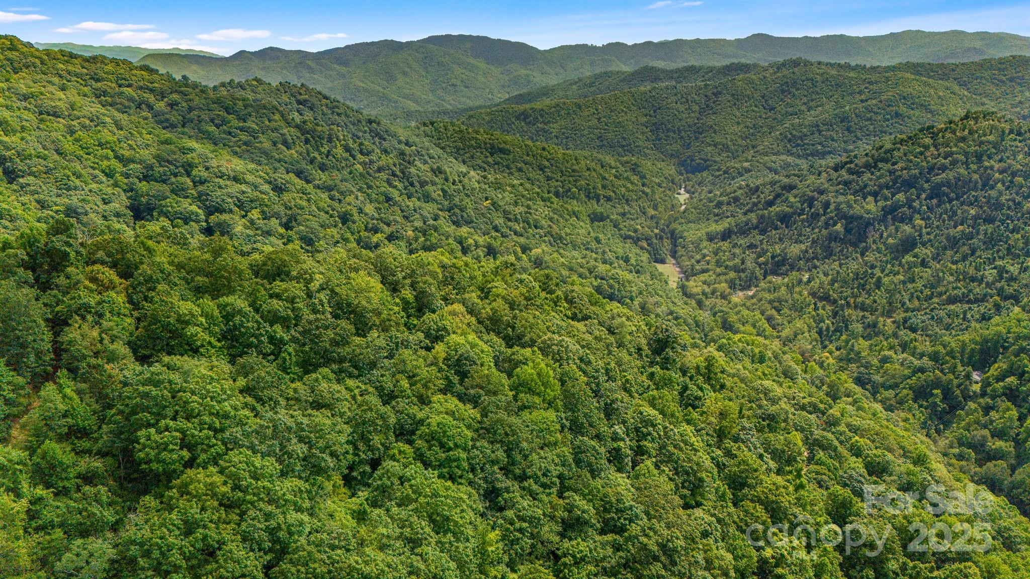 Lot 21 Cat Pen Branch Road Hot Springs NC 28743