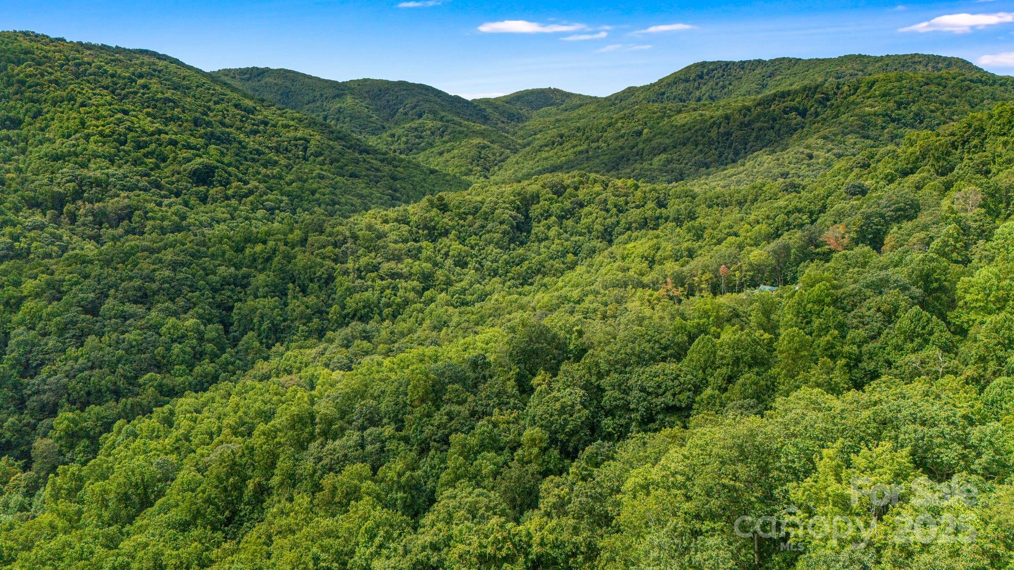 Lot 21 Cat Pen Branch Road Hot Springs NC 28743