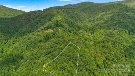 Lot 21 Cat Pen Branch Road Hot Springs NC 28743