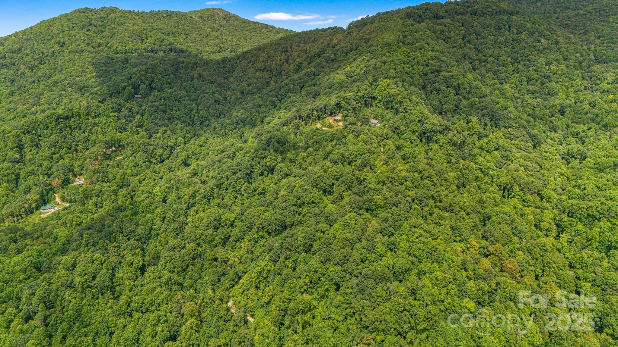 Lot 21 Cat Pen Branch Road Hot Springs NC 28743