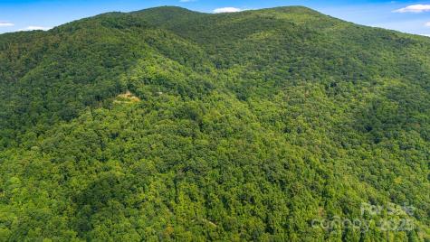 Lot 21 Cat Pen Branch Road Hot Springs NC 28743