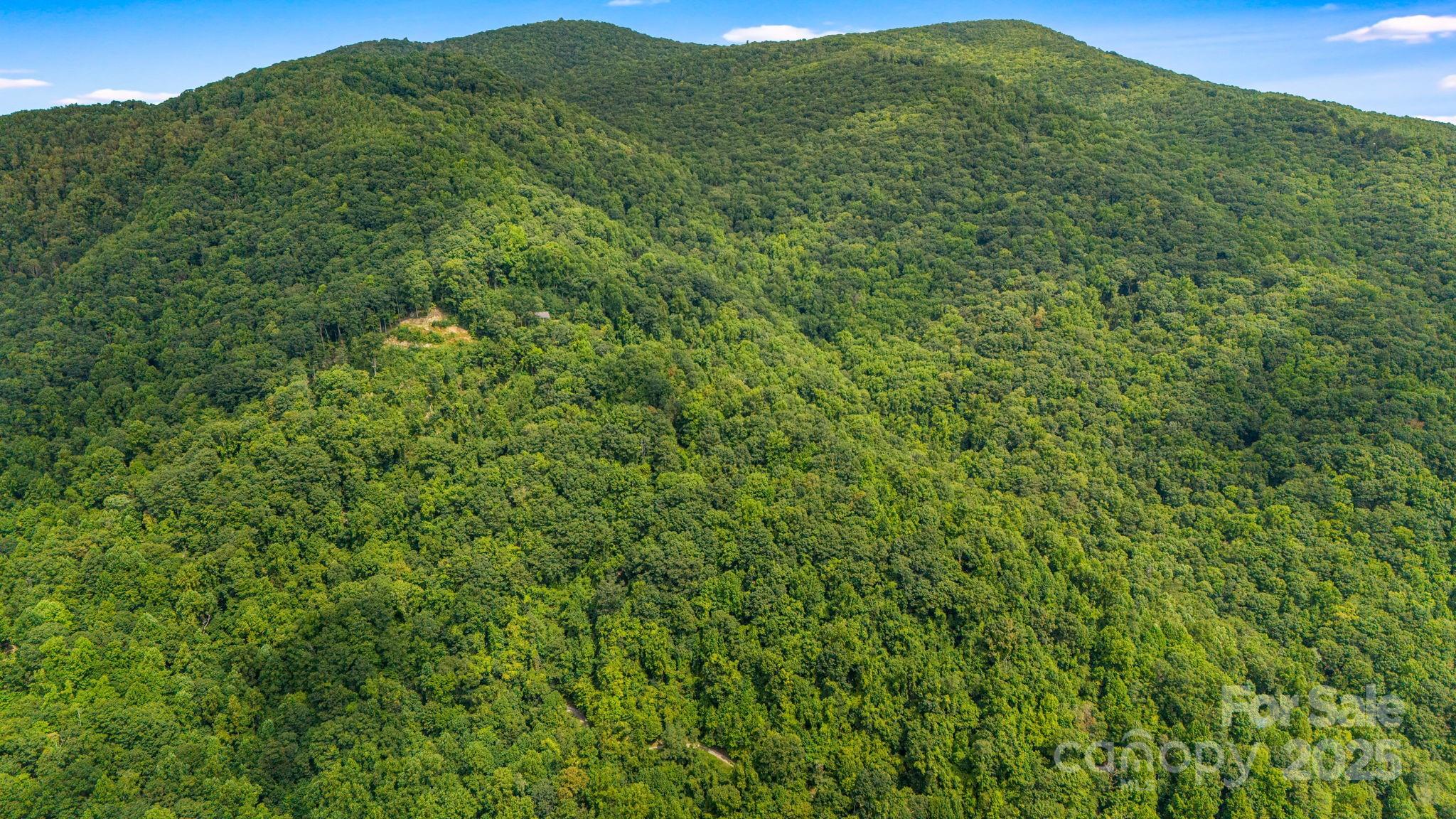 Lot 21 Cat Pen Branch Road Hot Springs NC 28743