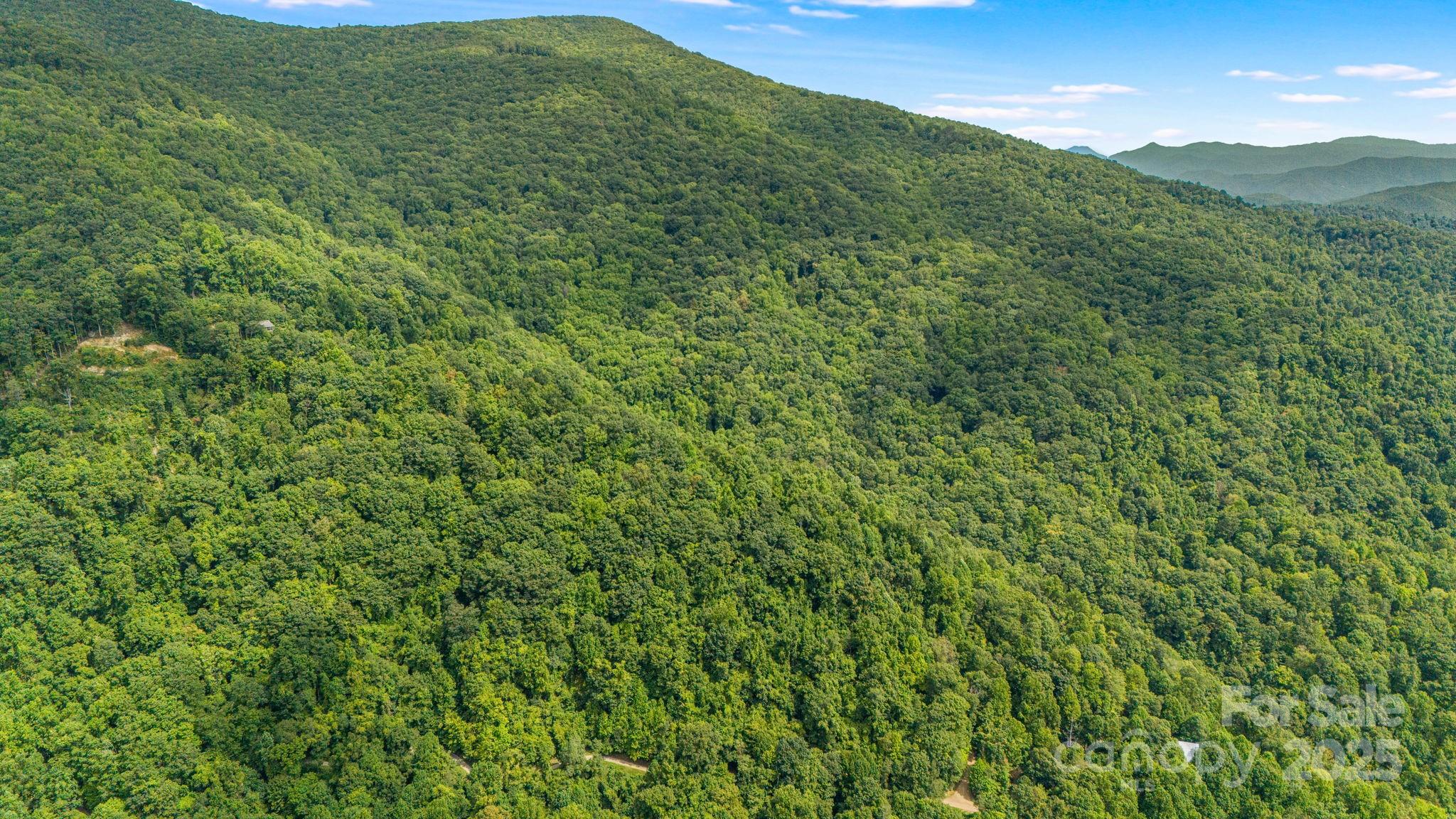 Lot 21 Cat Pen Branch Road Hot Springs NC 28743