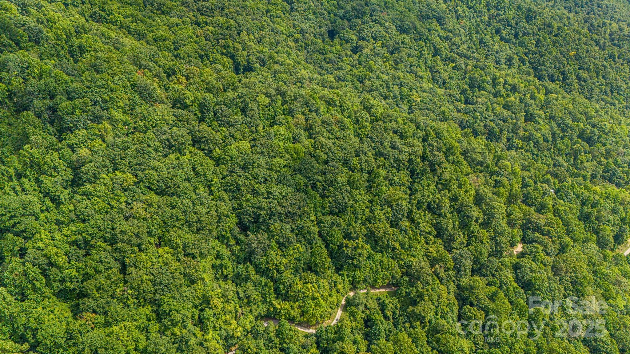 Lot 21 Cat Pen Branch Road Hot Springs NC 28743