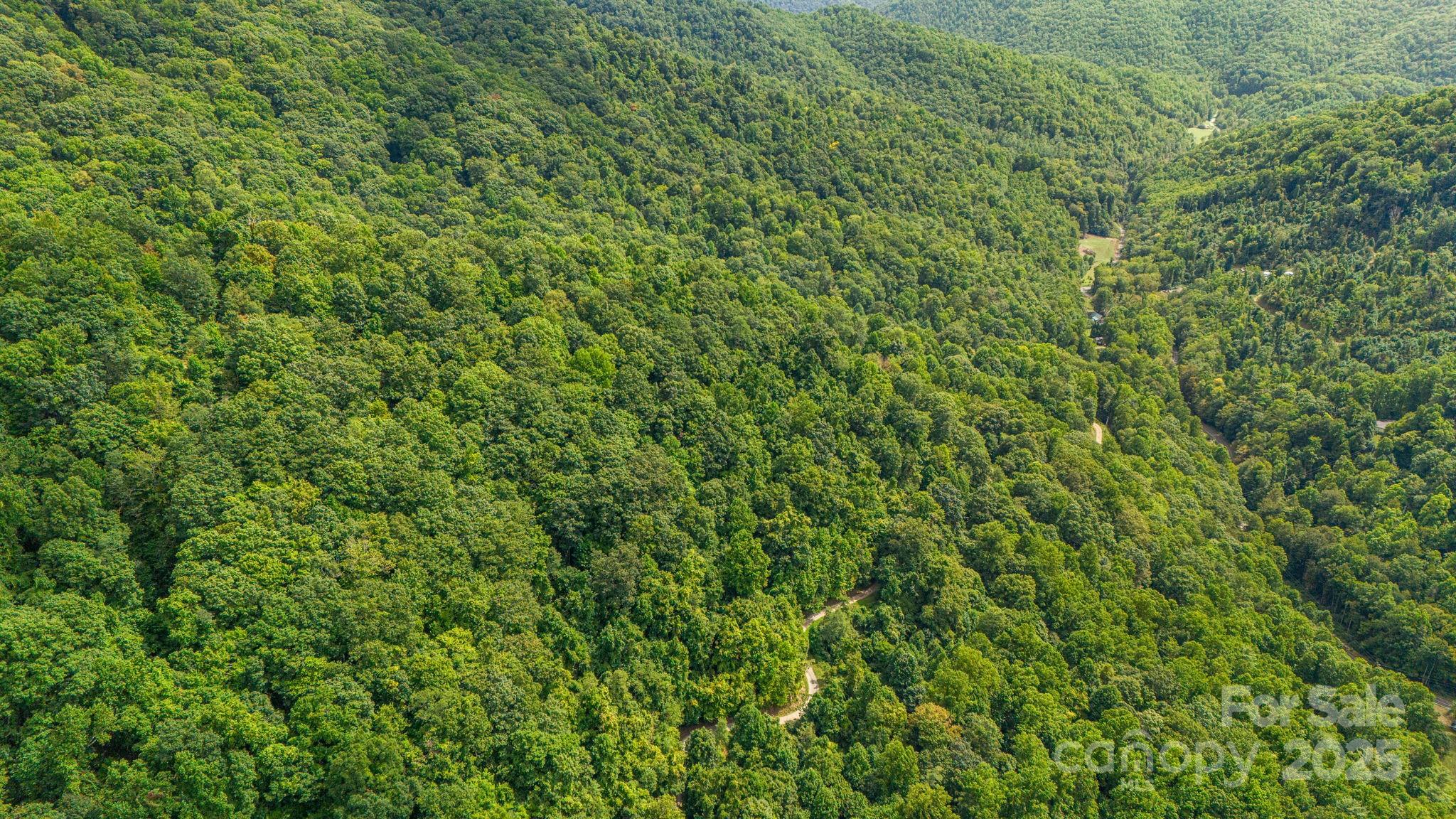 Lot 21 Cat Pen Branch Road Hot Springs NC 28743