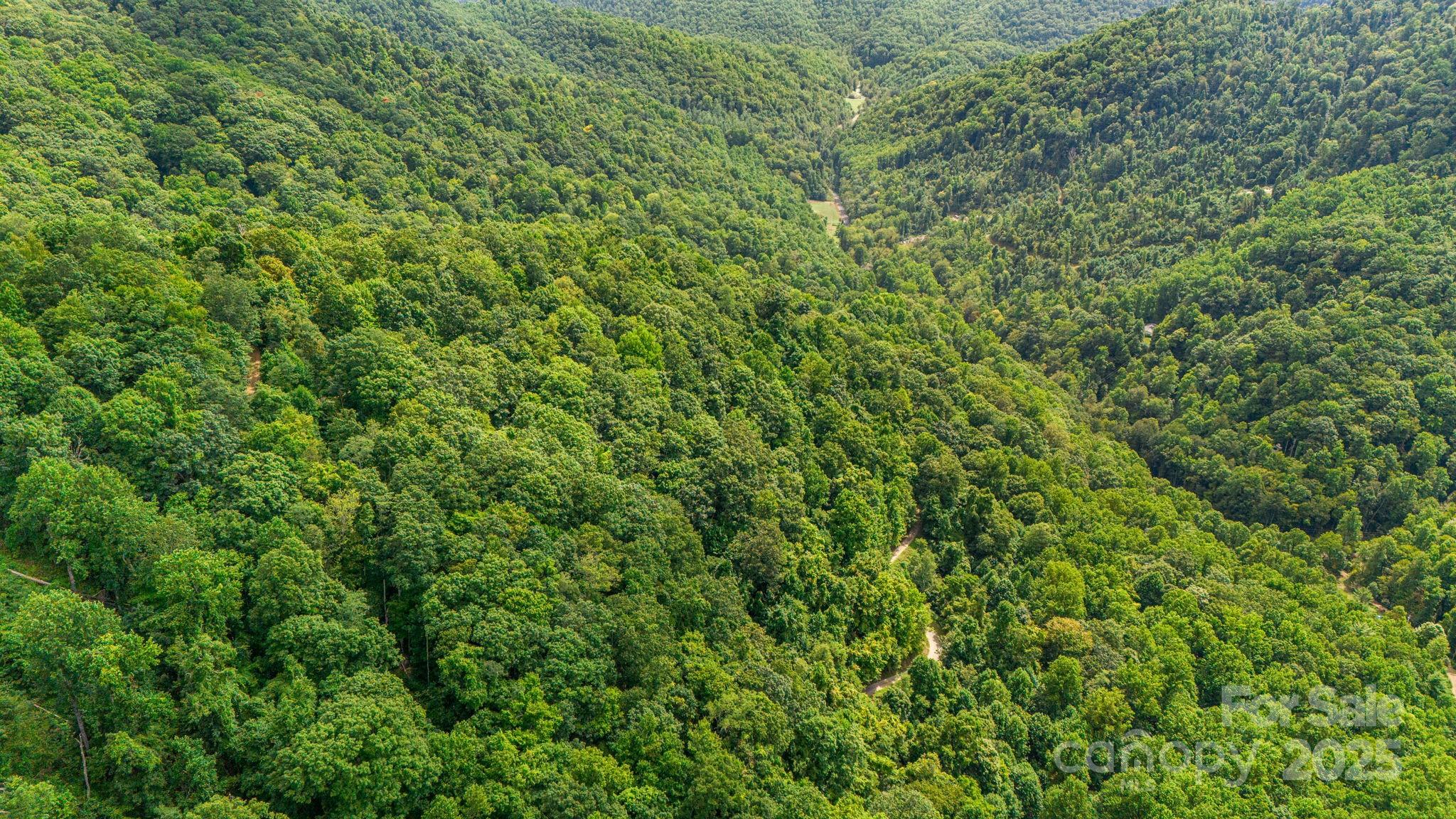 Lot 21 Cat Pen Branch Road Hot Springs NC 28743