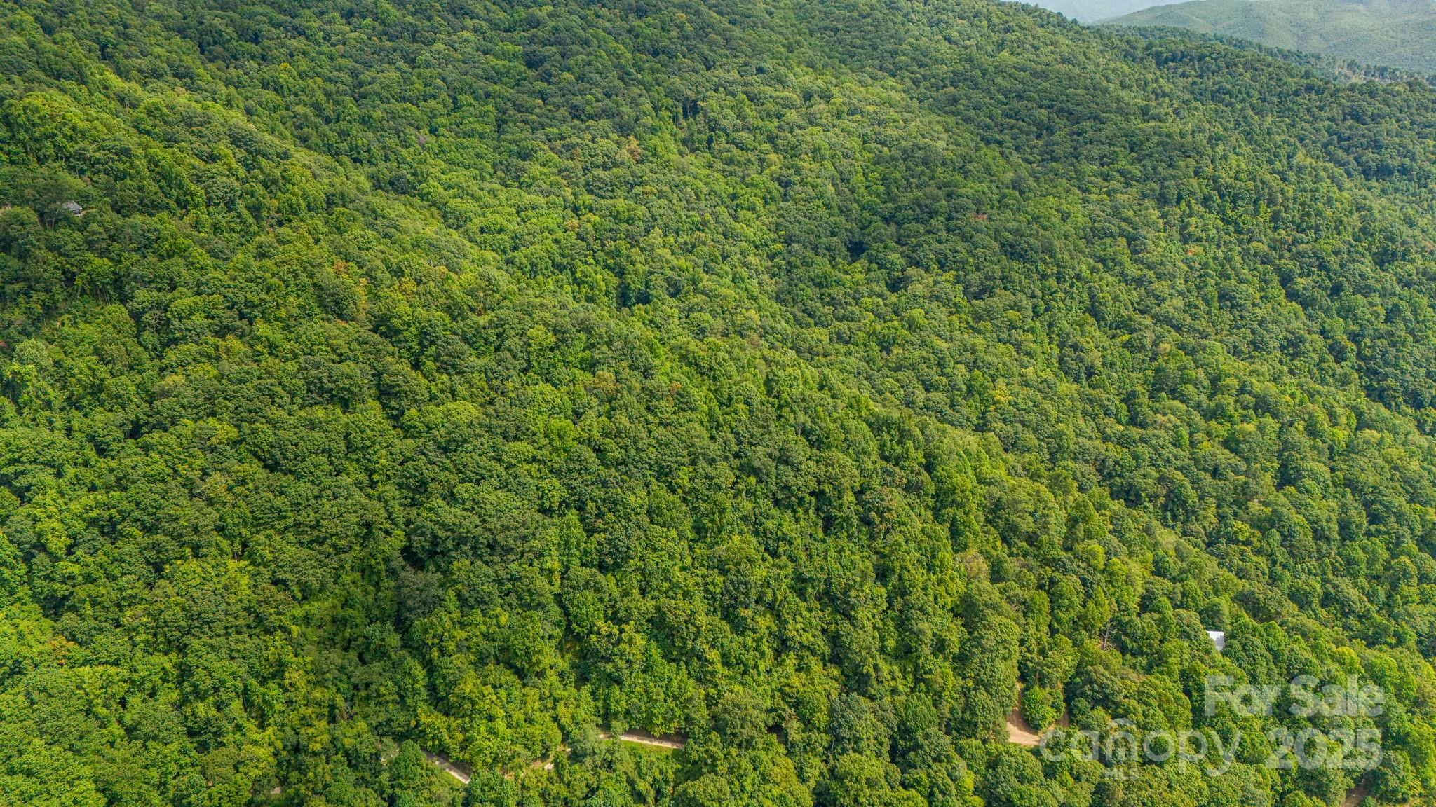 Lot 21 Cat Pen Branch Road Hot Springs NC 28743