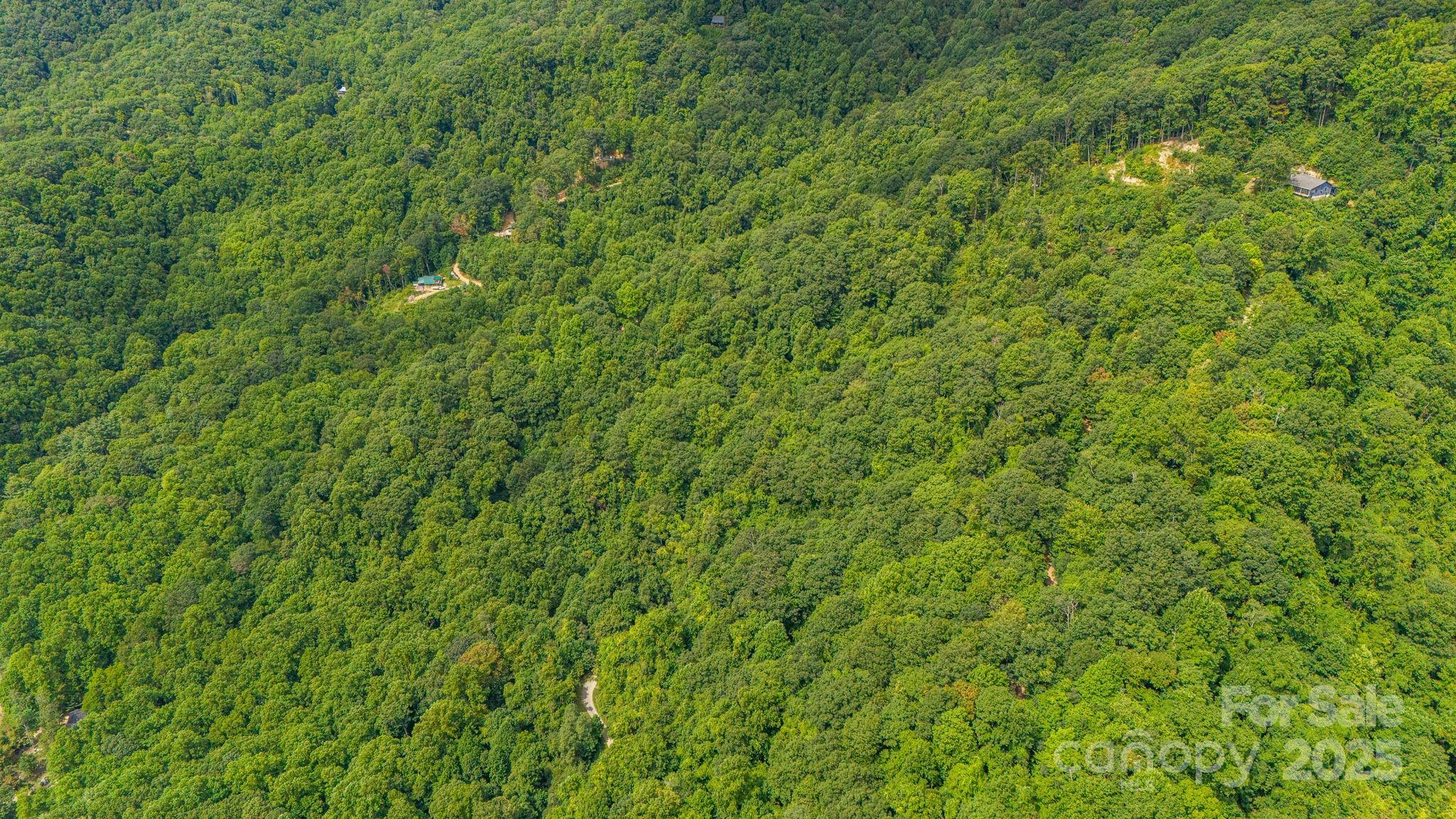 Lot 21 Cat Pen Branch Road Hot Springs NC 28743