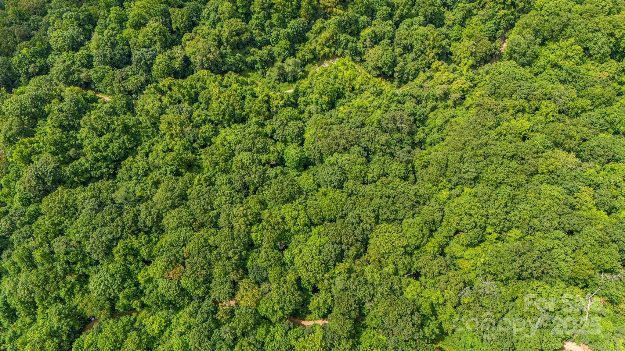 Lot 21 Cat Pen Branch Road Hot Springs NC 28743