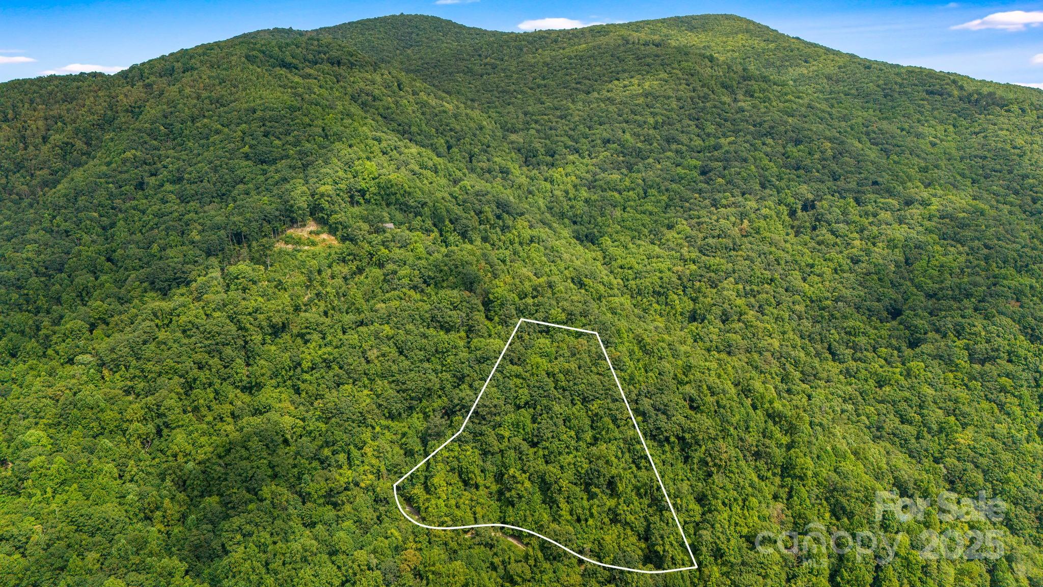 Lot 21 Cat Pen Branch Road Hot Springs NC 28743