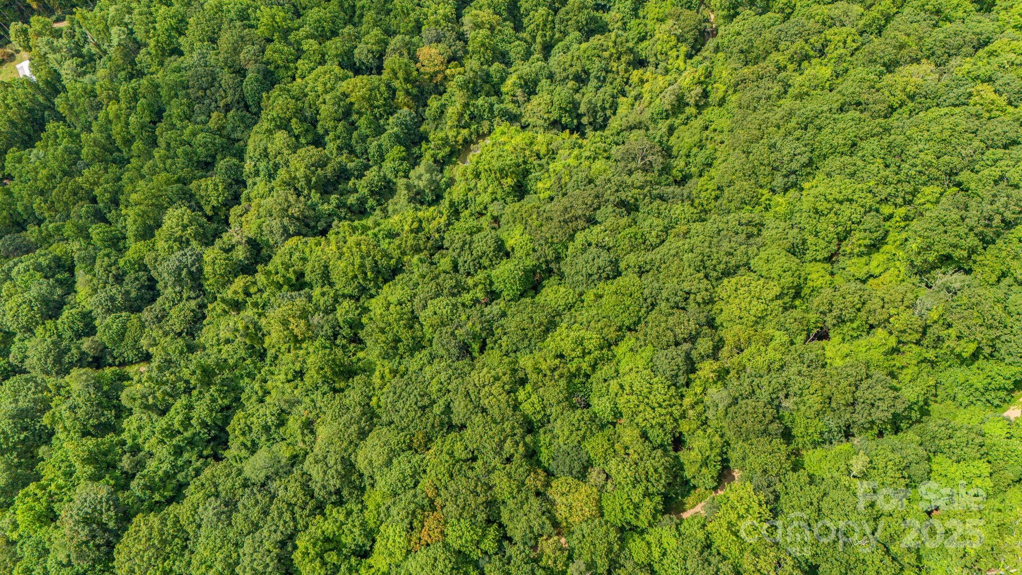 Lot 21 Cat Pen Branch Road Hot Springs NC 28743